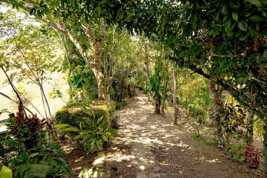 Rincones del Mogote