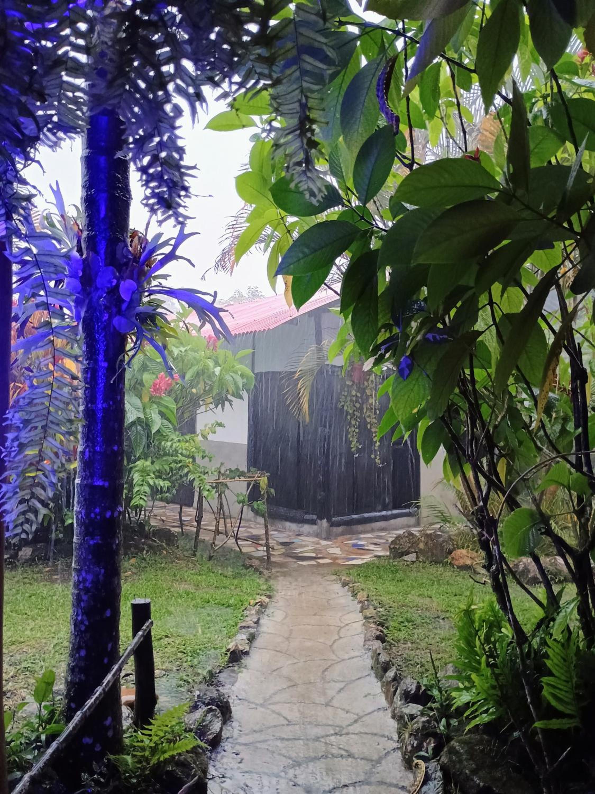 PosadaManduka Eco-Hostel - Property Image 2