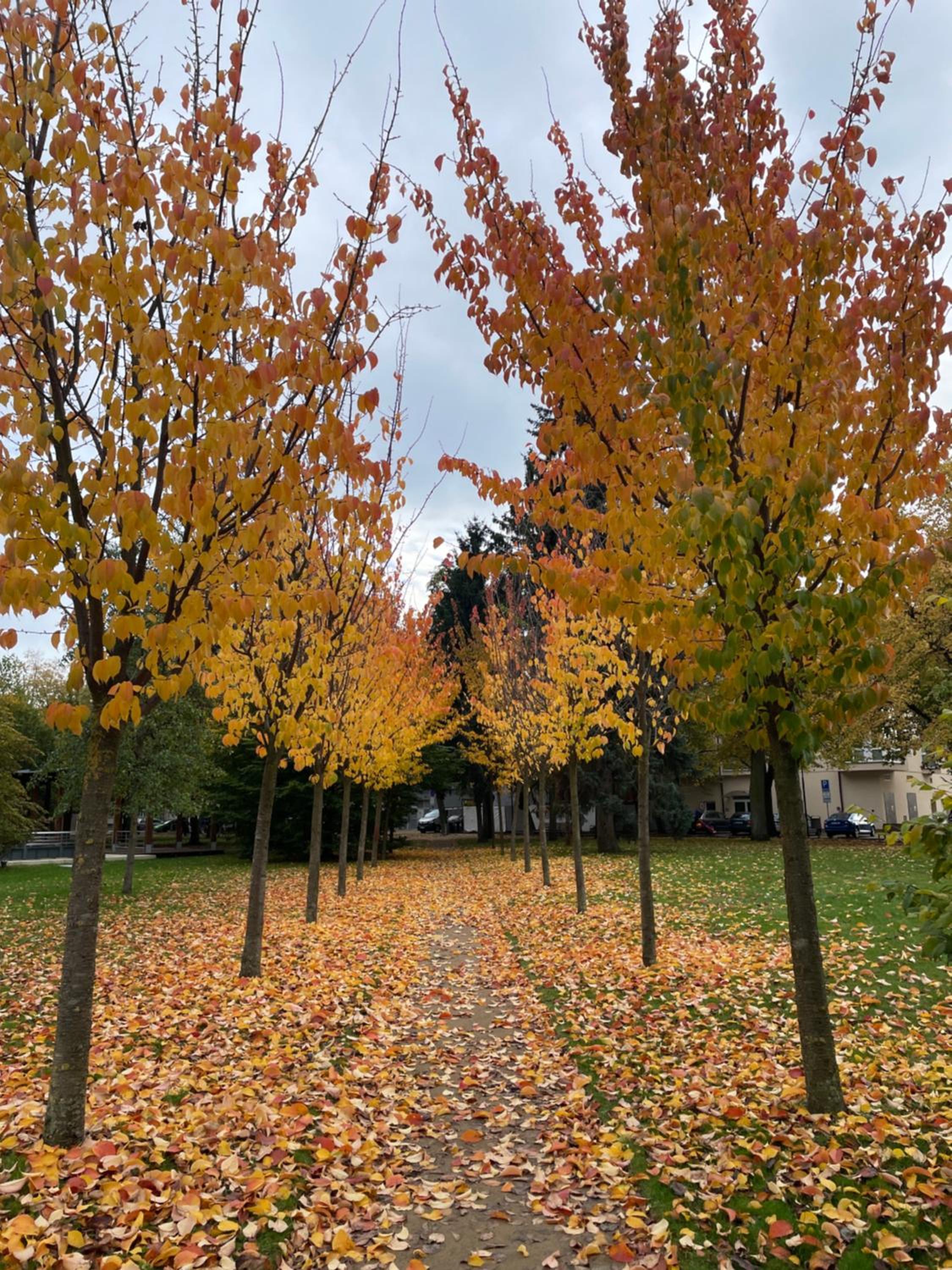 Královské apartmá kolonáda