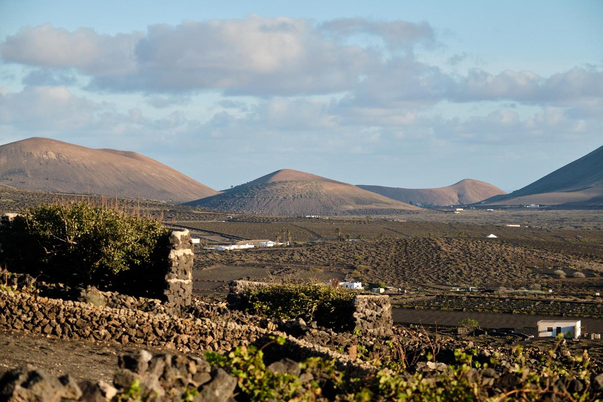 Ecofinca Aulaga