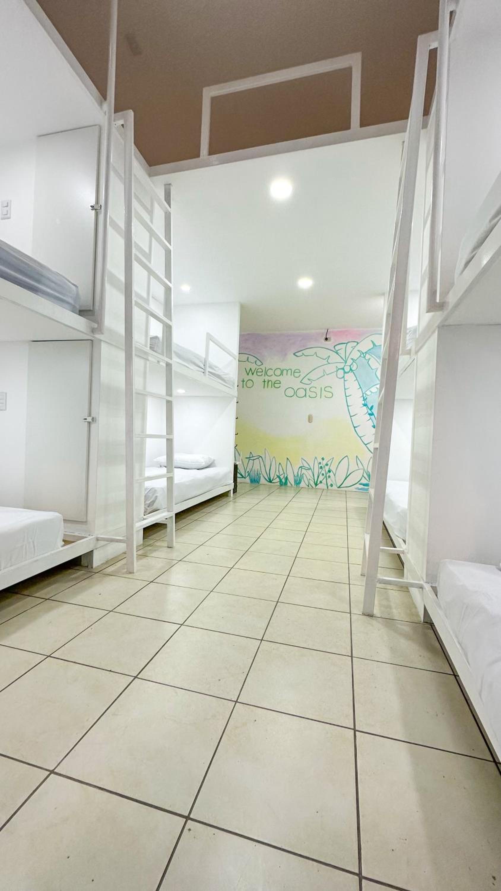 SJO Oasis Hostel