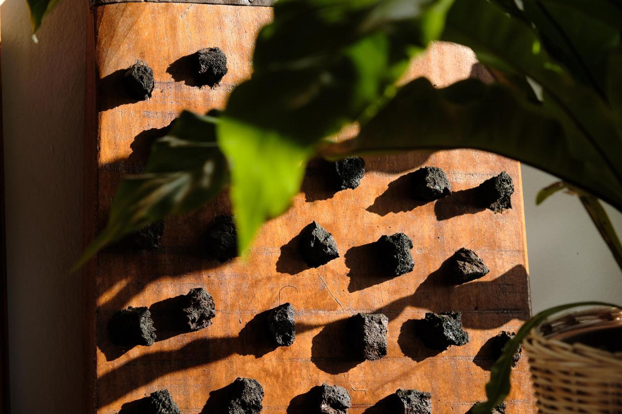 Ecofinca Aulaga