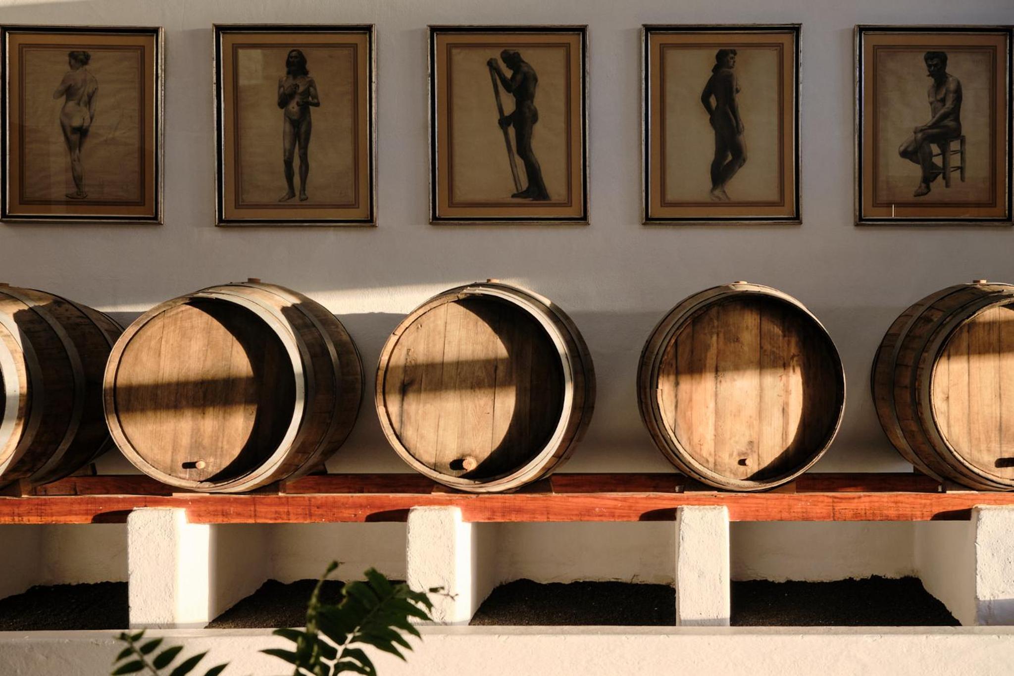 Ecofinca Aulaga