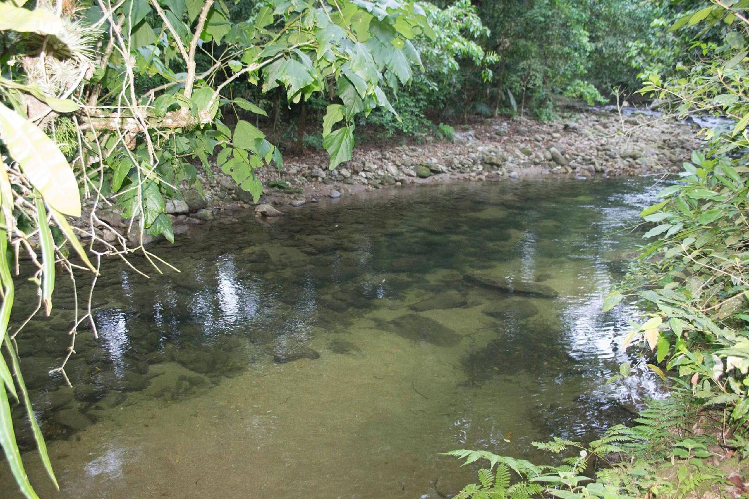 Camburi 5 quartos com piscina natural