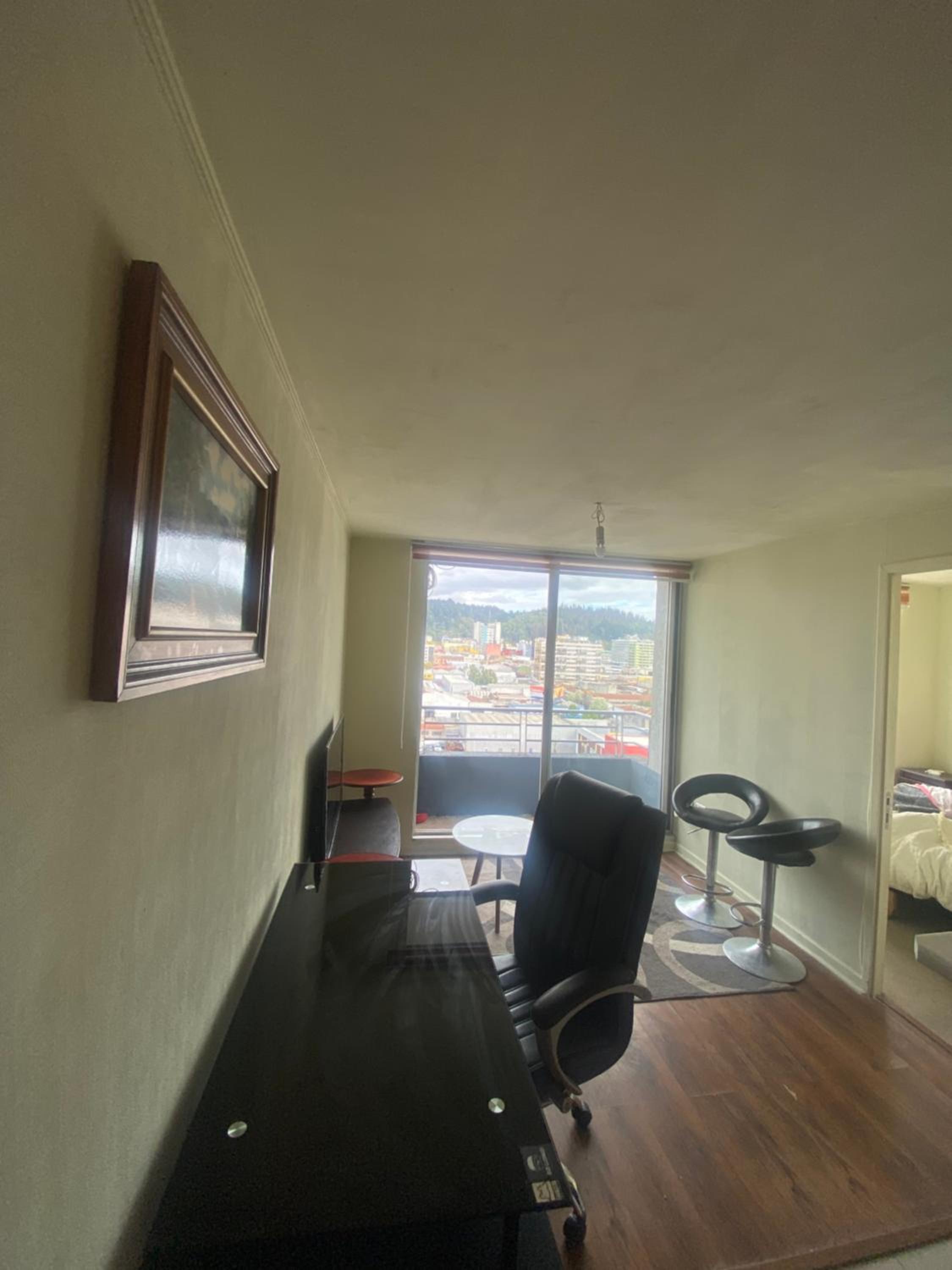 Vista Panorámica gran Concepción
