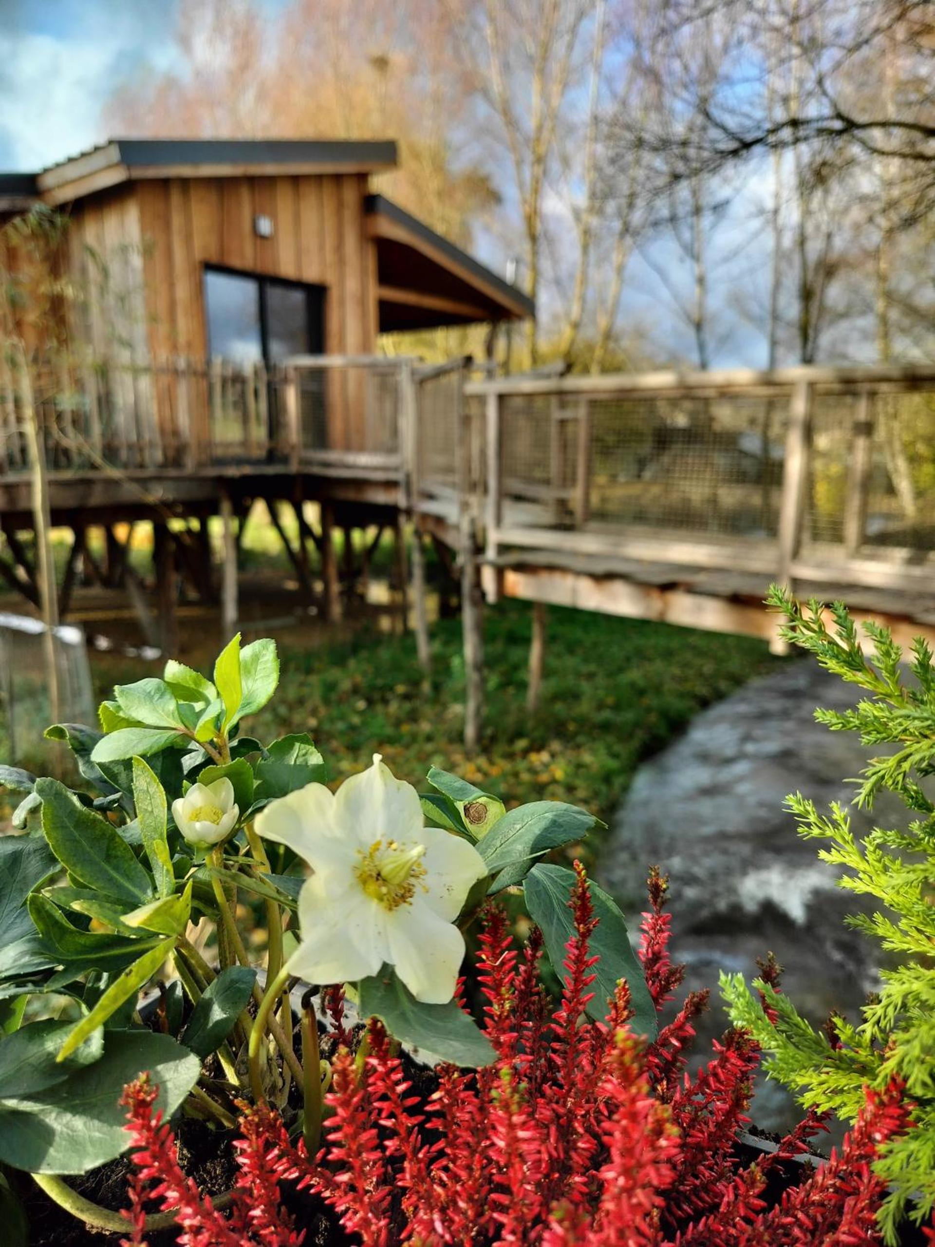 La Cabane d'Ode