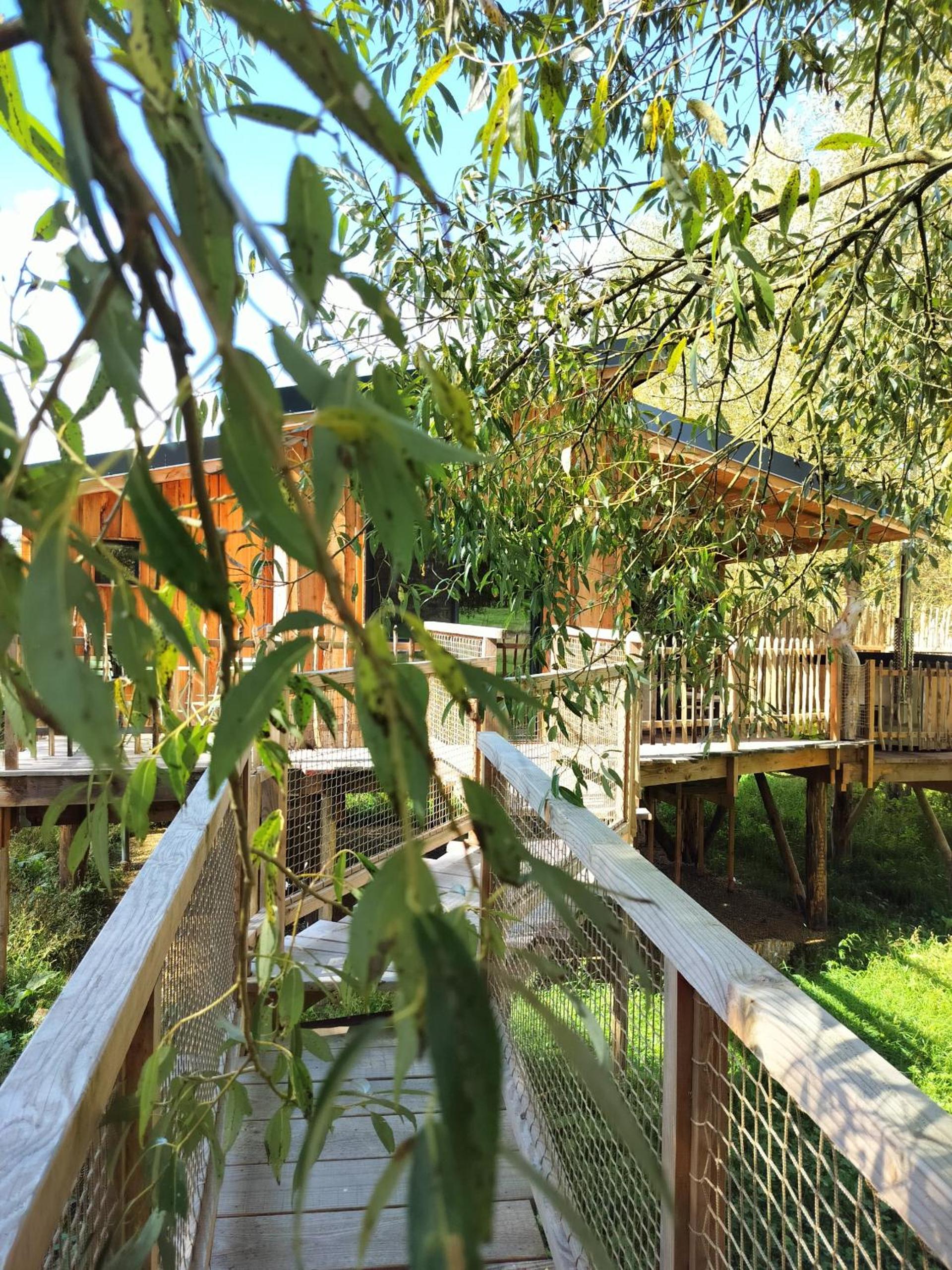 La Cabane d'Ode
