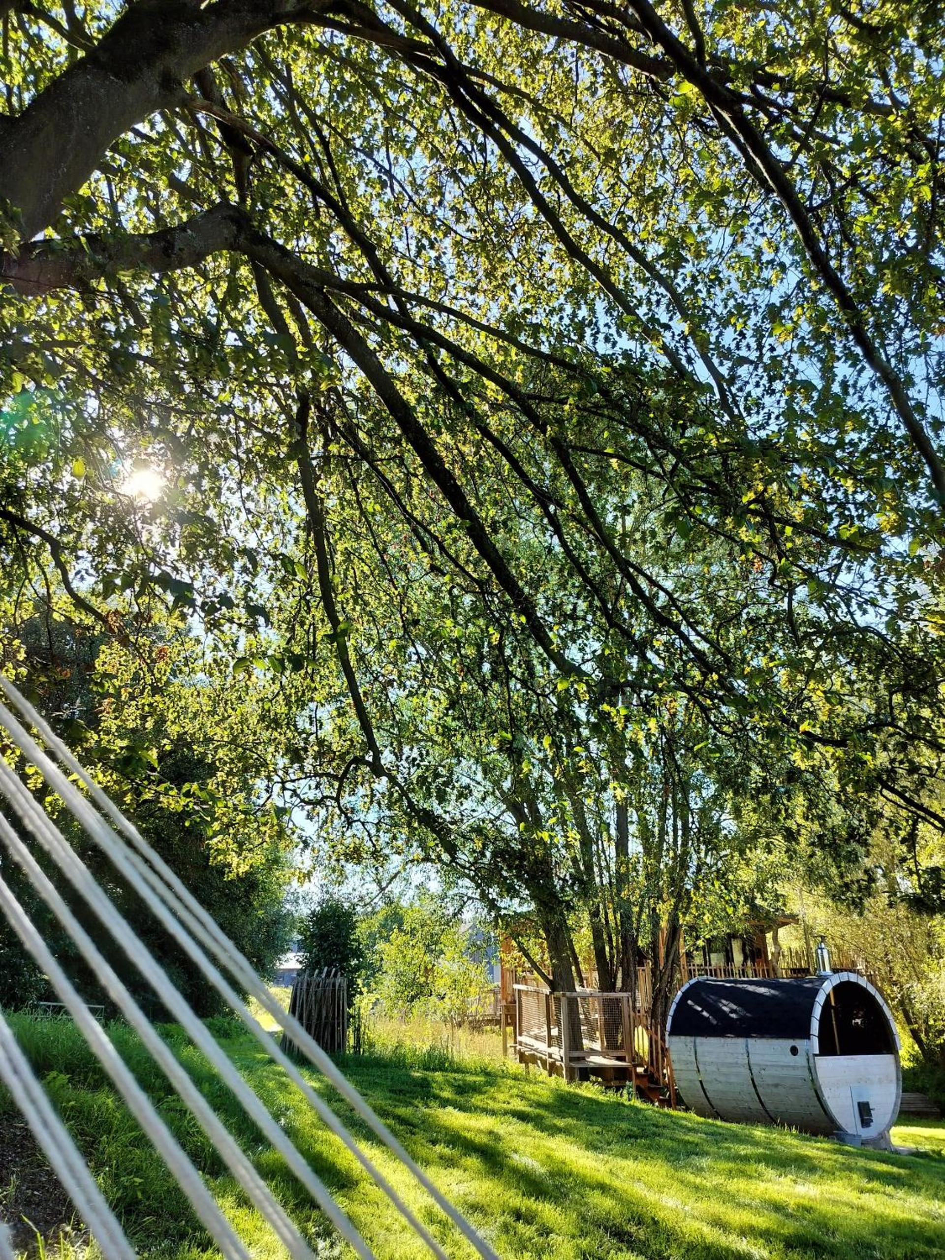 La Cabane d'Ode