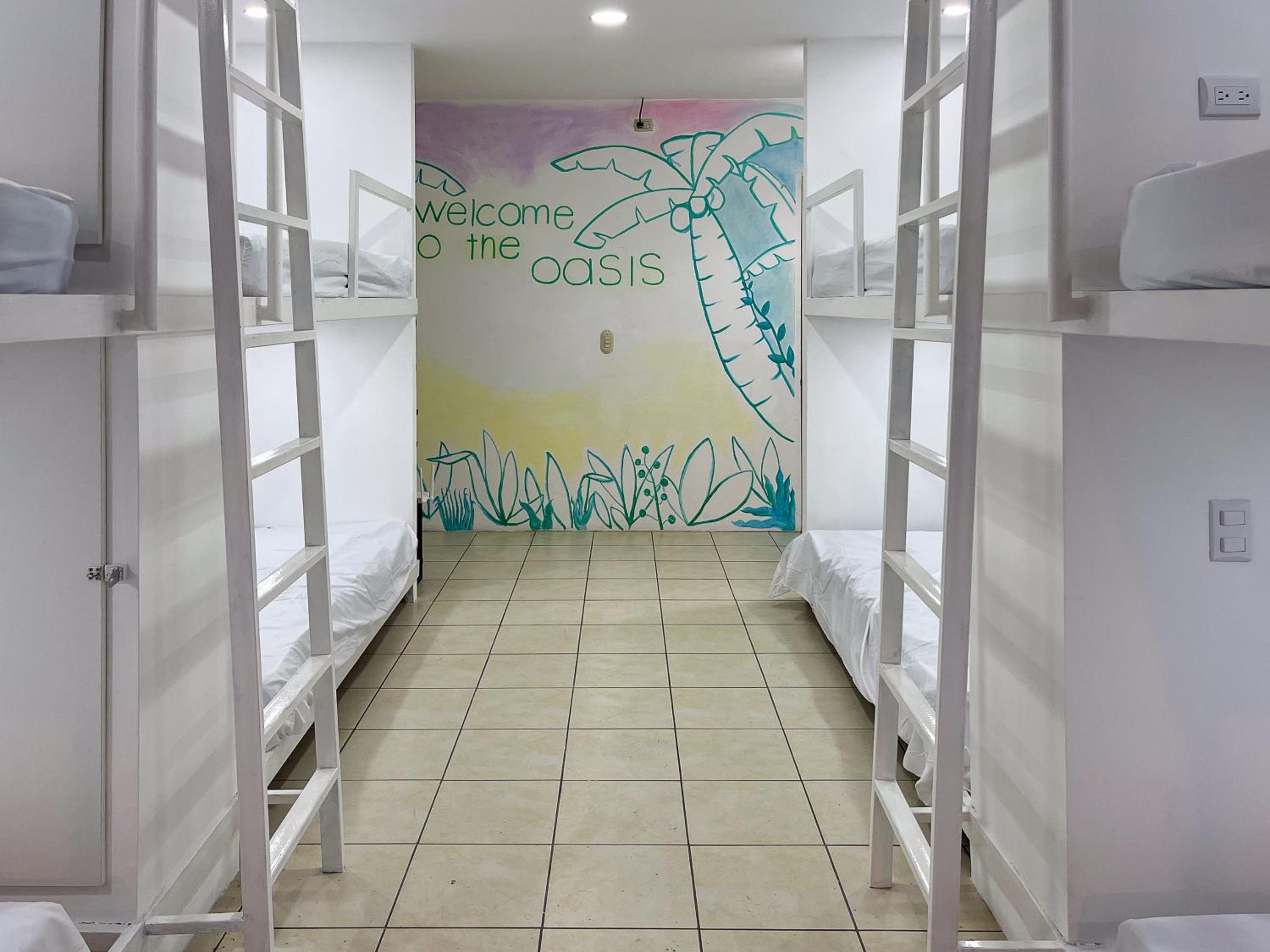 SJO Oasis Hostel