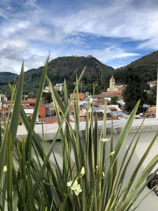 La Primera en La Candelaria