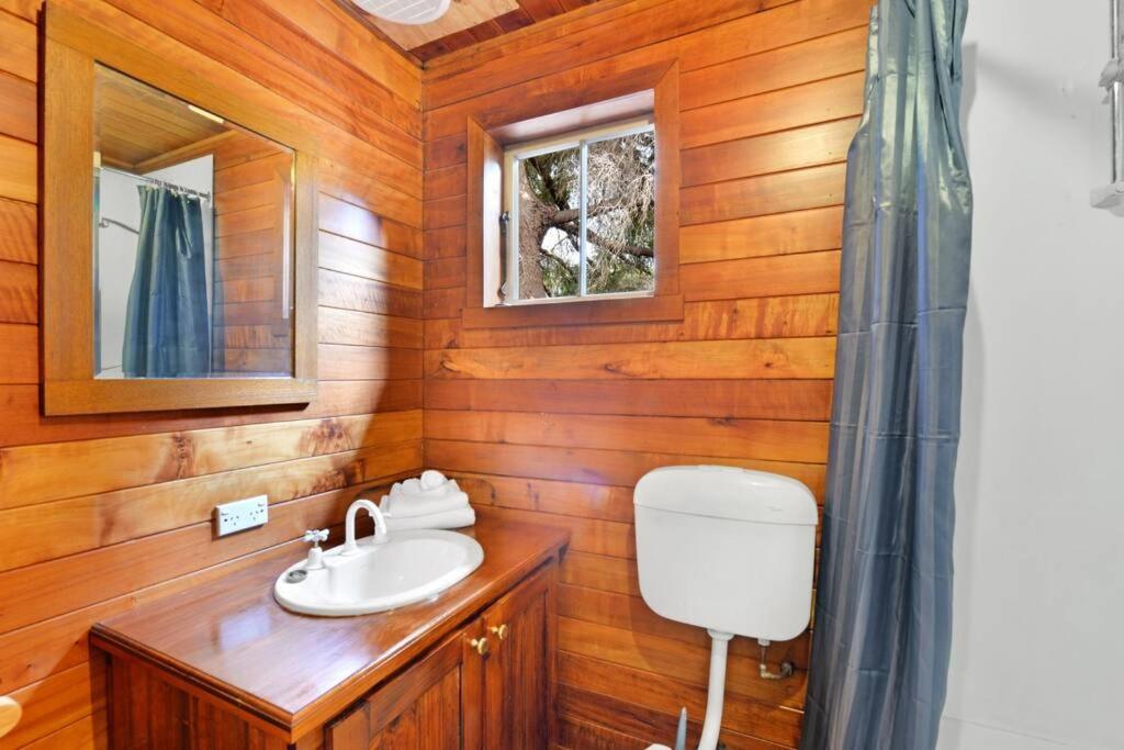 Mt Elephant Forrest Cabin