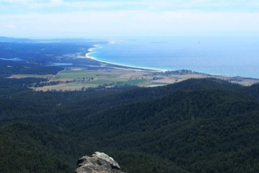 Mt Elephant Forrest Cabin