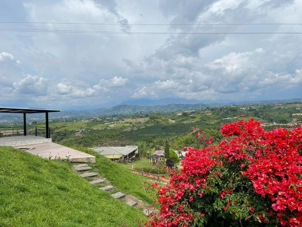 FINCA LA MANUELA
