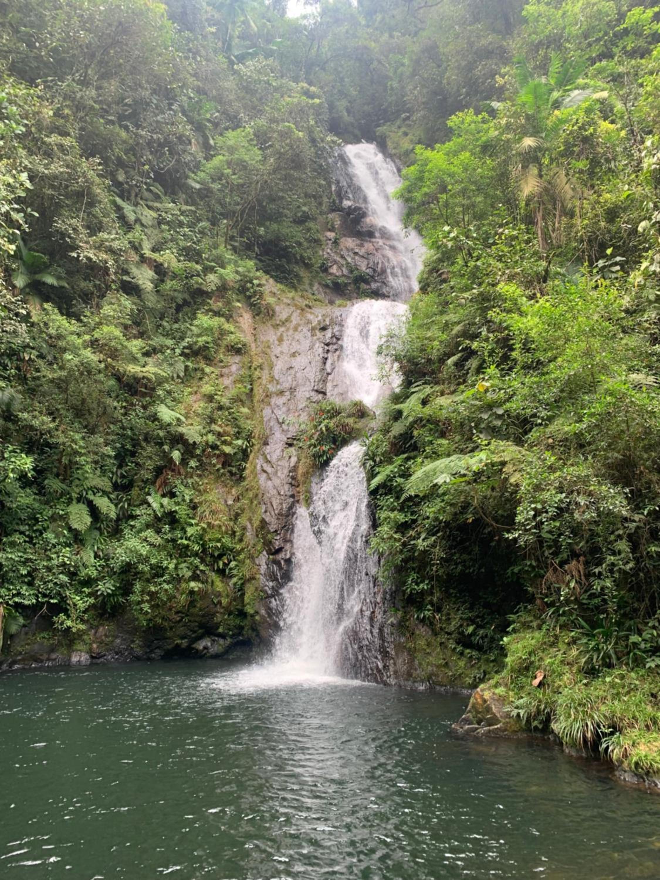 Casa de Fazenda na Ecovila Sustentar, 38km de SP