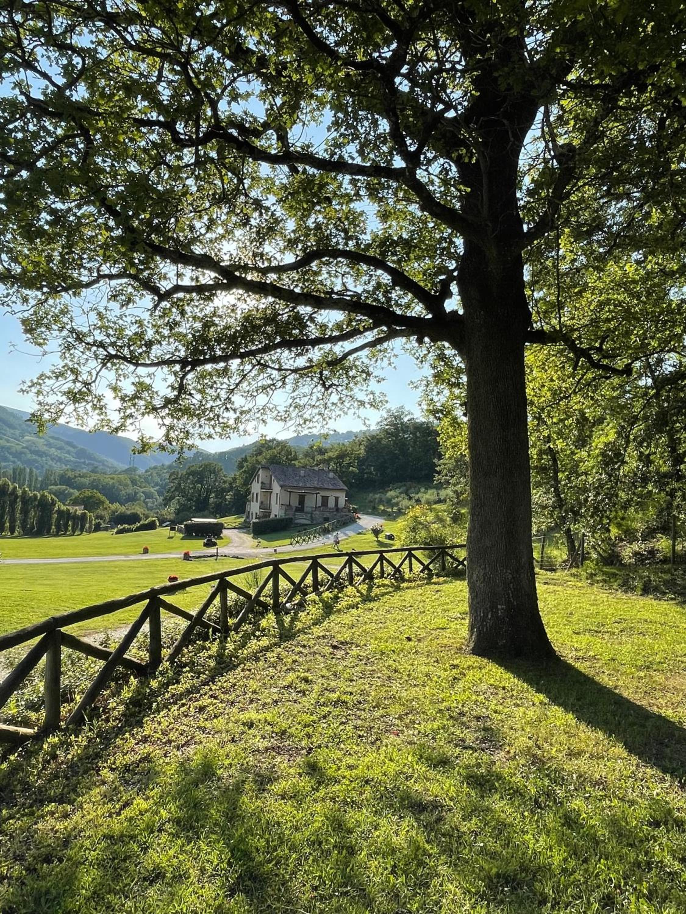 Cerqua Rosara Residence