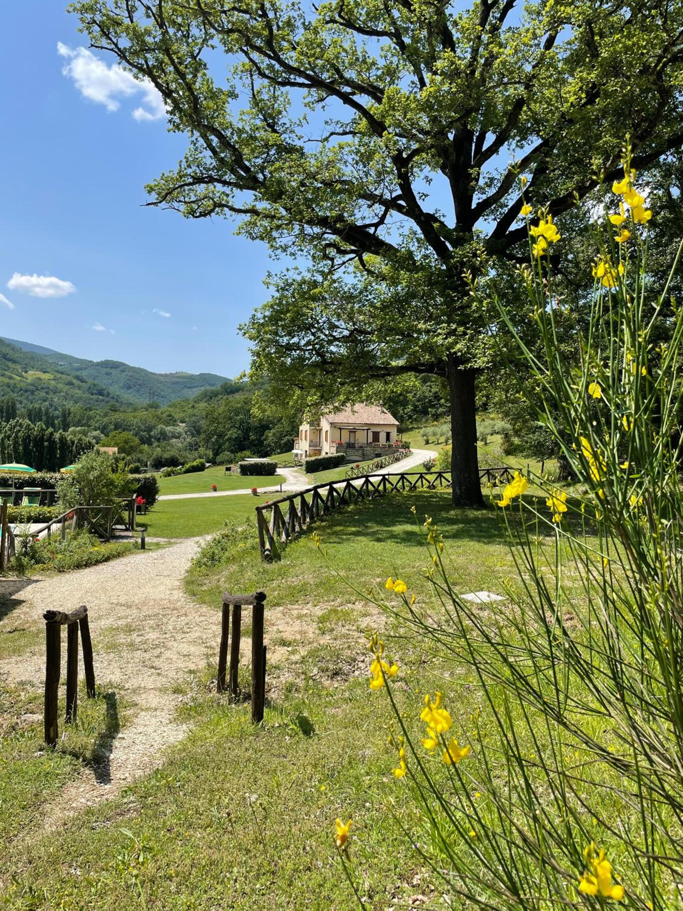 Cerqua Rosara Residence