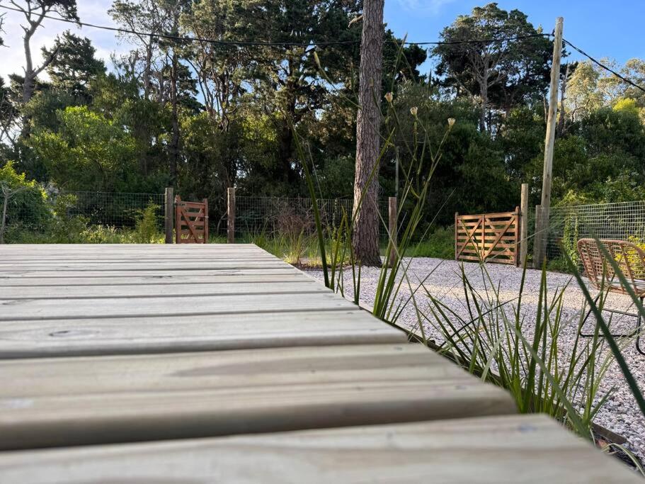 Nandina, en el bosque y playa view 5