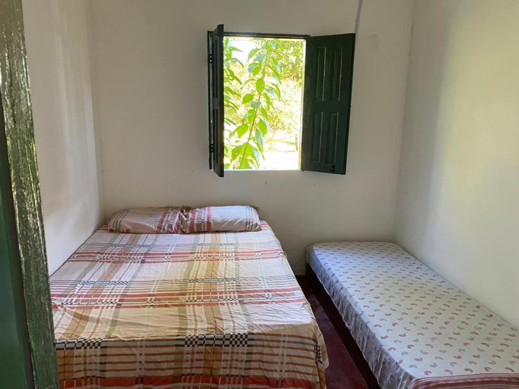 Sítio com piscina em Trancoso