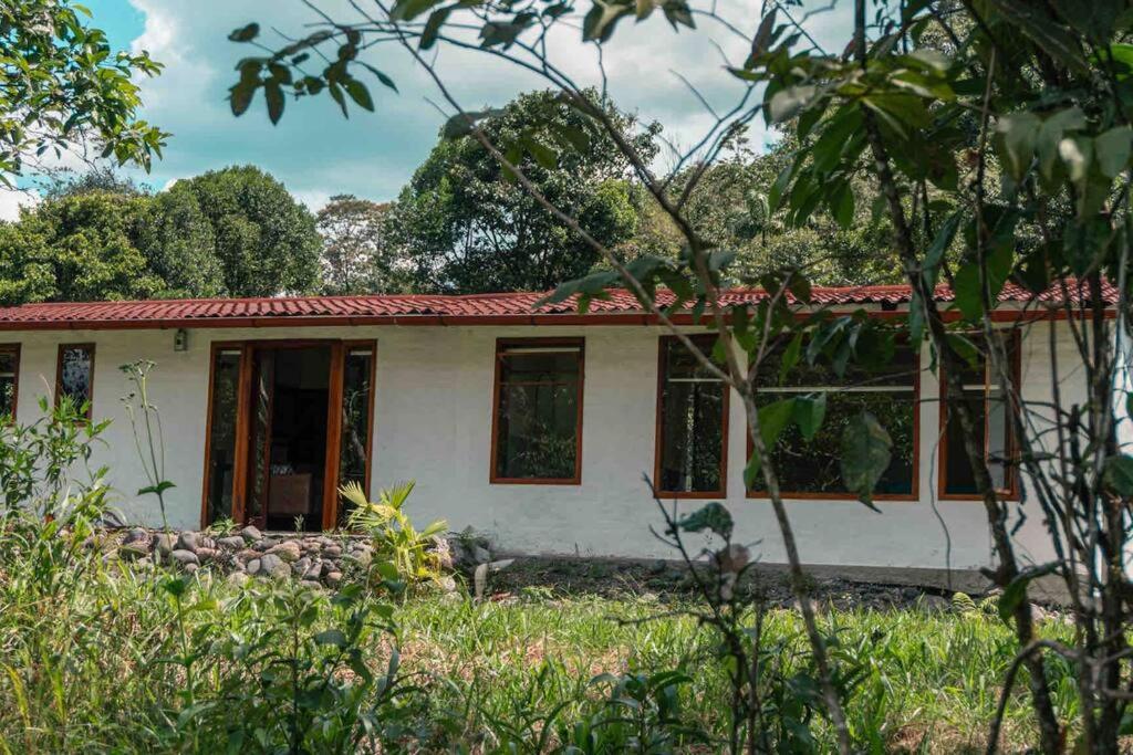 Riverside Cabin in Cumandá, near Baños, Ecuador view 5