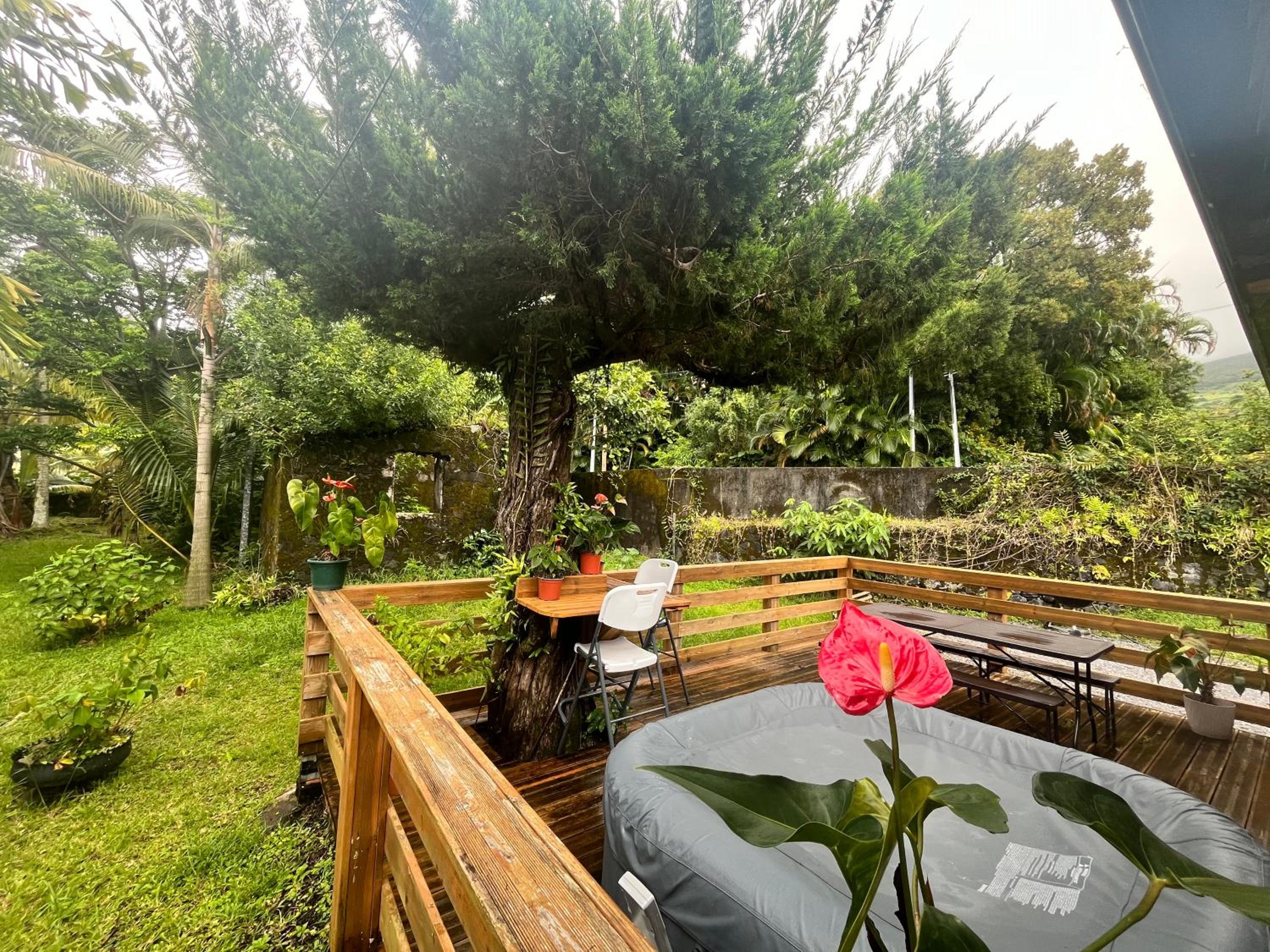 La Trinité, charme historique du Sud Sauvage view 5