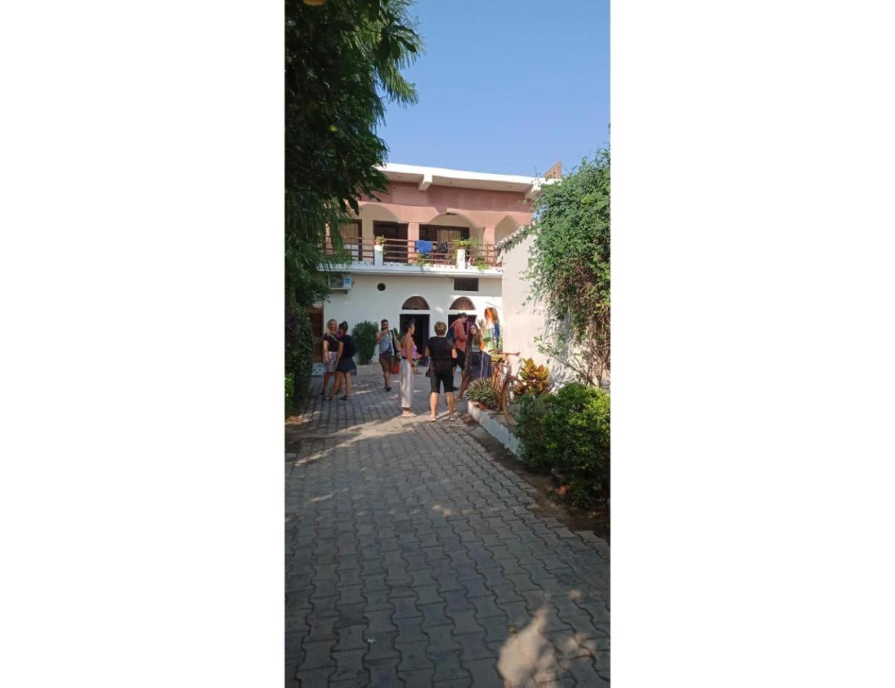 Photo 42