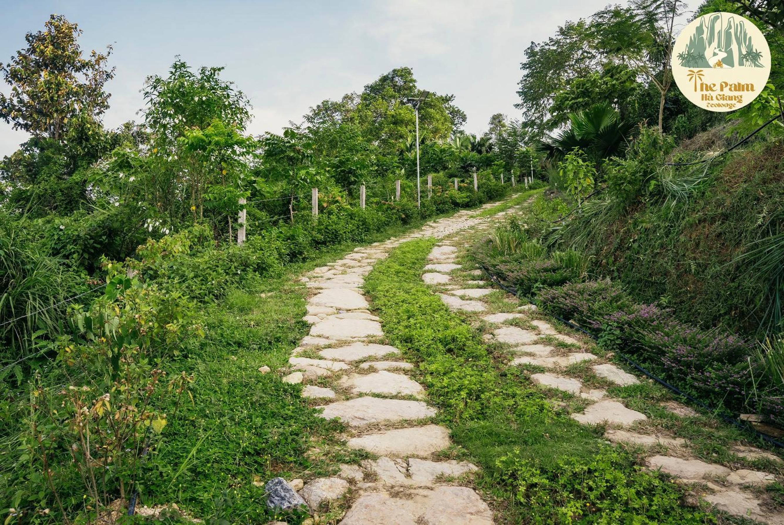 TV Palm Ecolodge Ha Giang