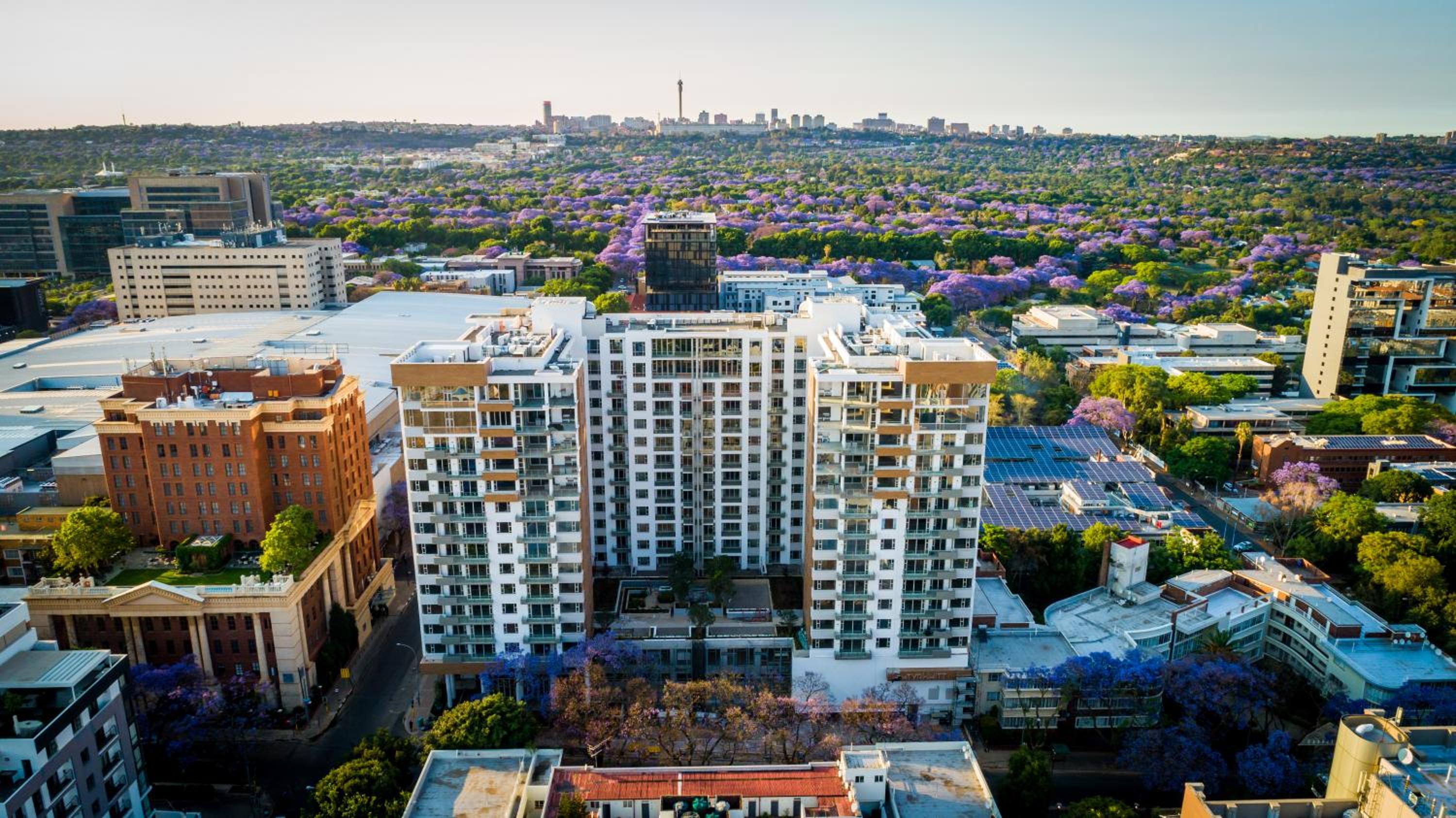 The Serviced Apartment Collection At The Tyrwhitt Rosebank