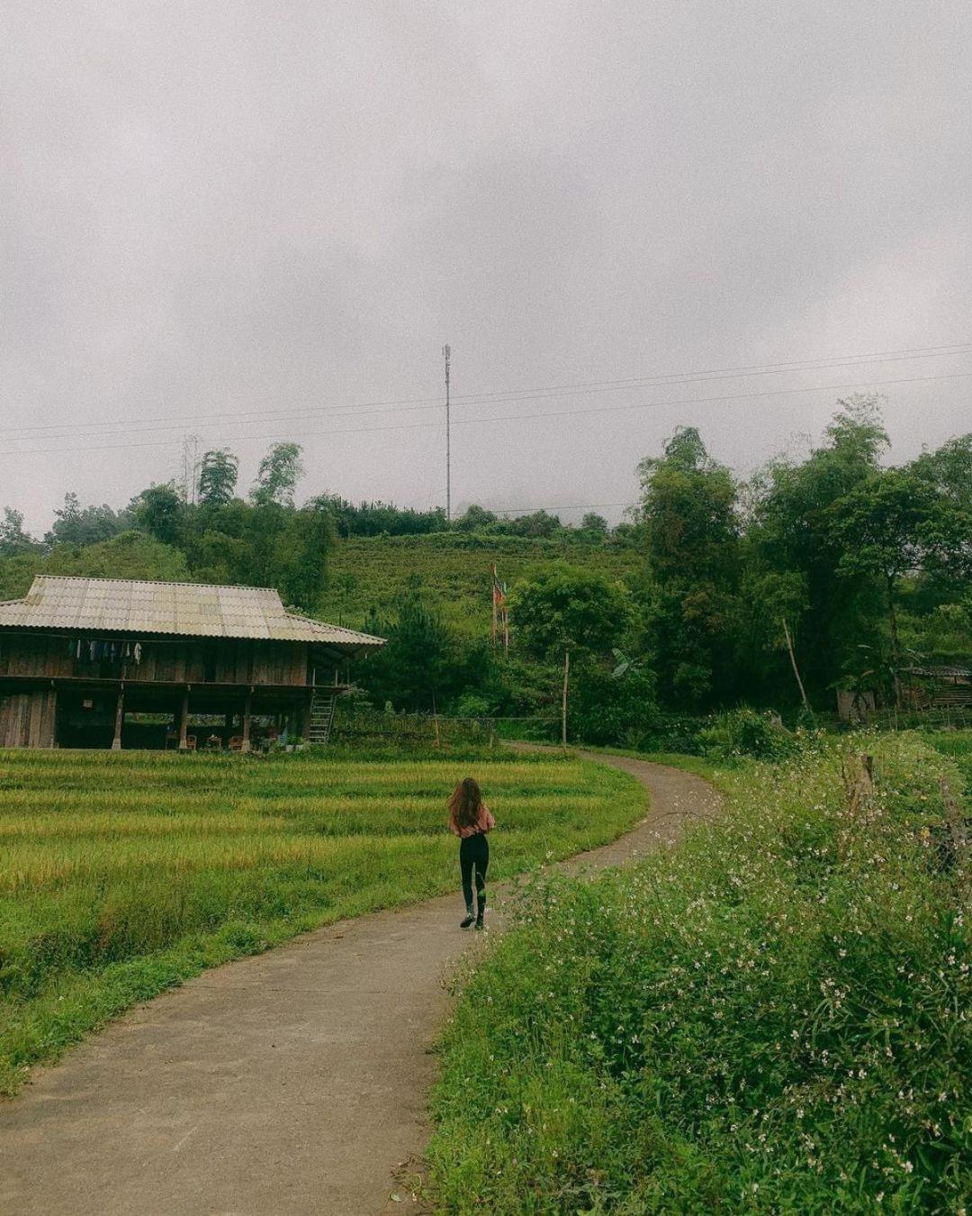 Du Gia Field View Homestay