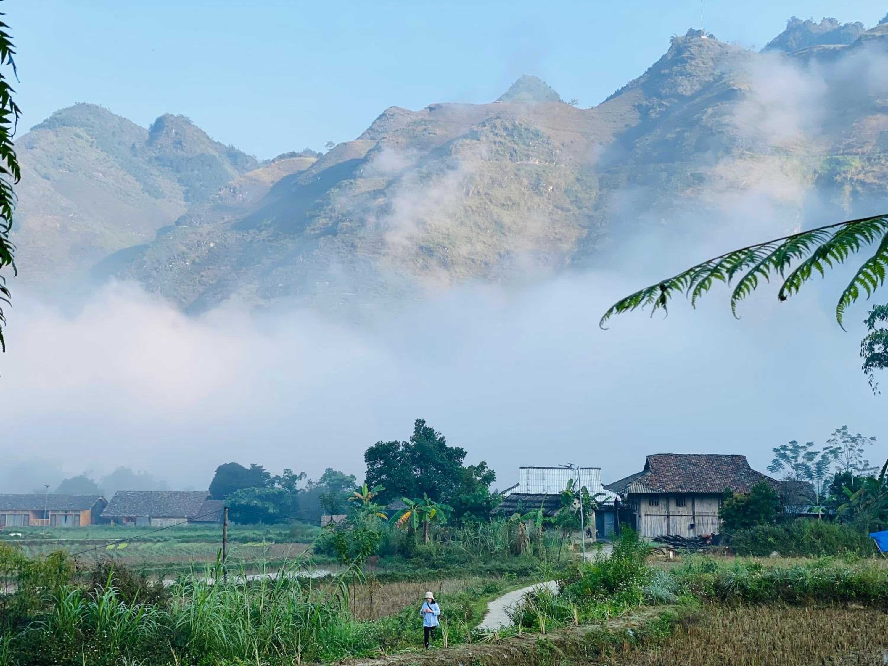 Du Gia Field View Homestay