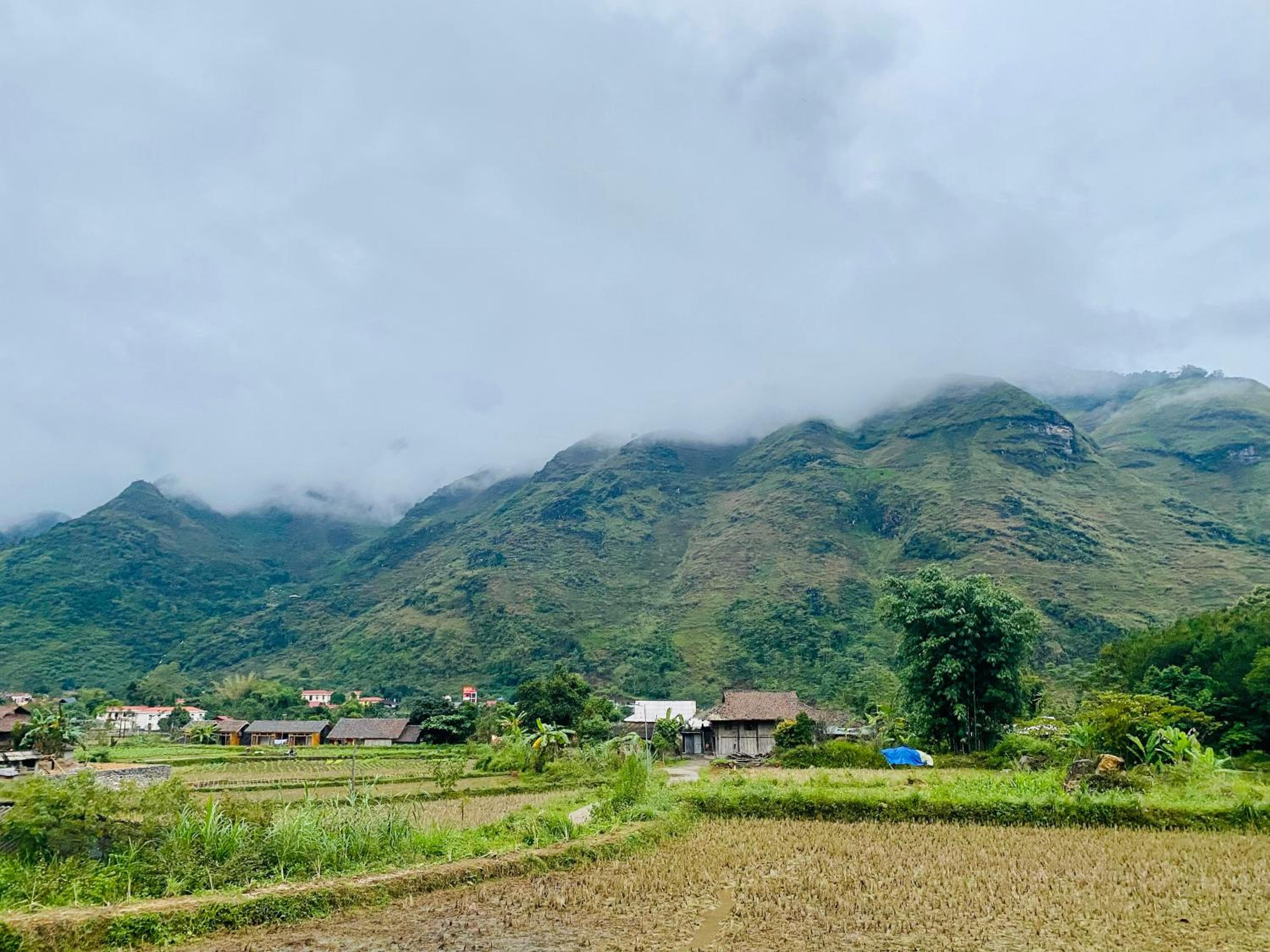 Du Gia Field View Homestay