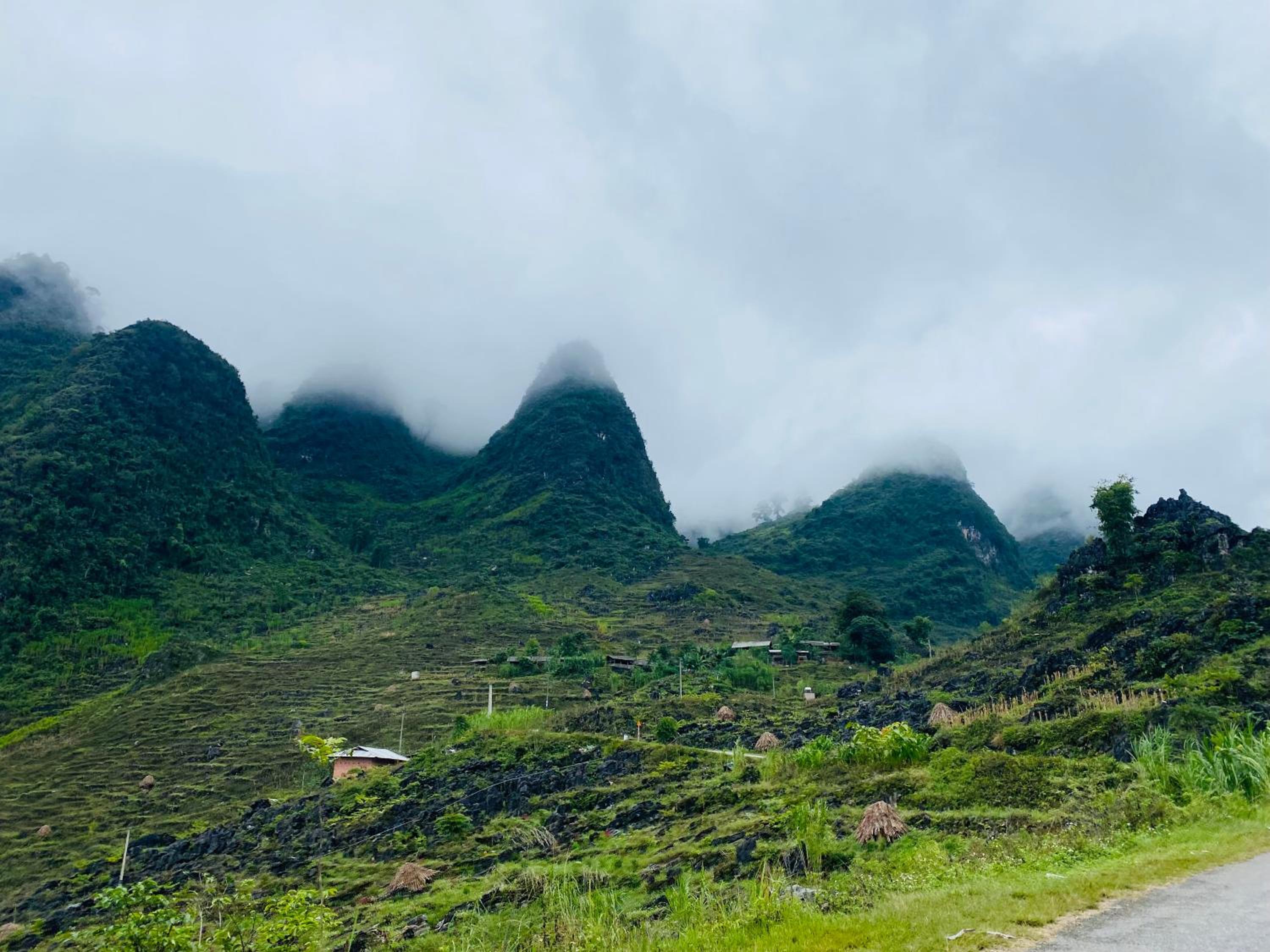 Du Gia Field View Homestay