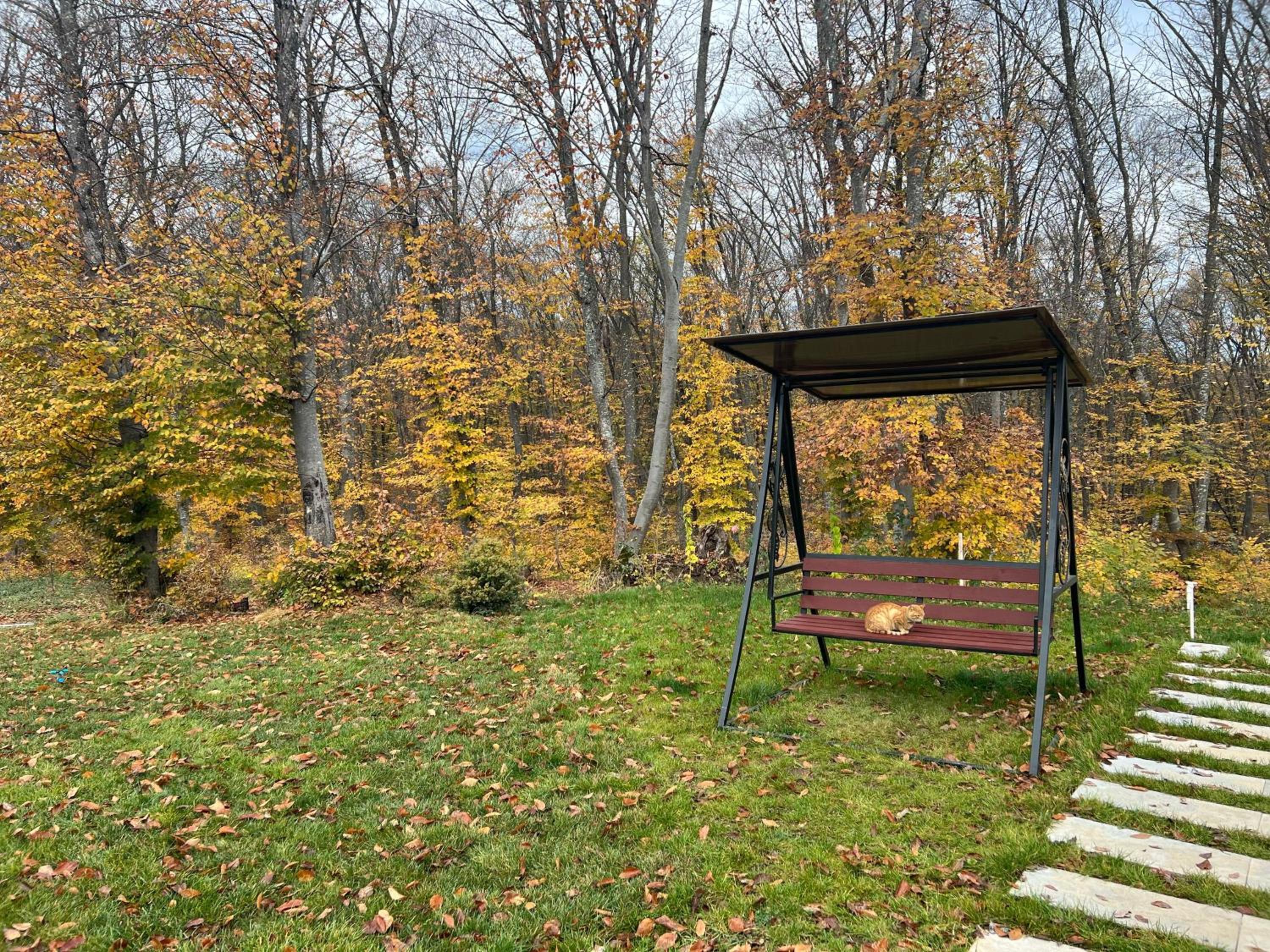 CHALET WOODS GUSAR