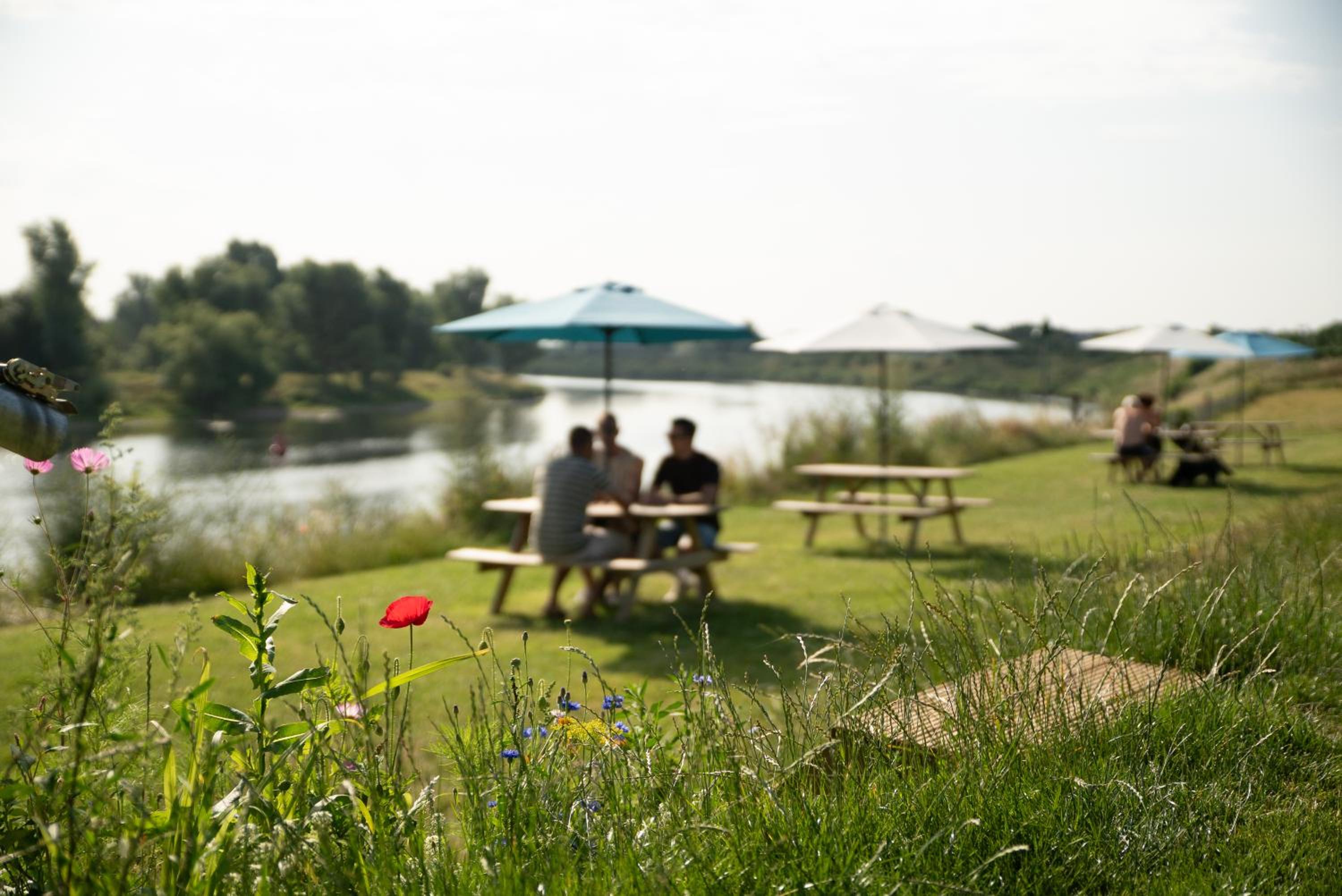 Camping de Boomgaard