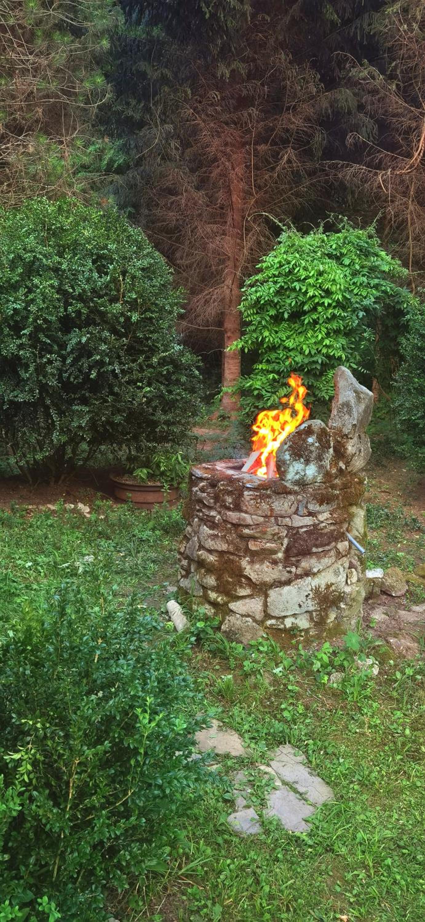 Photo 41