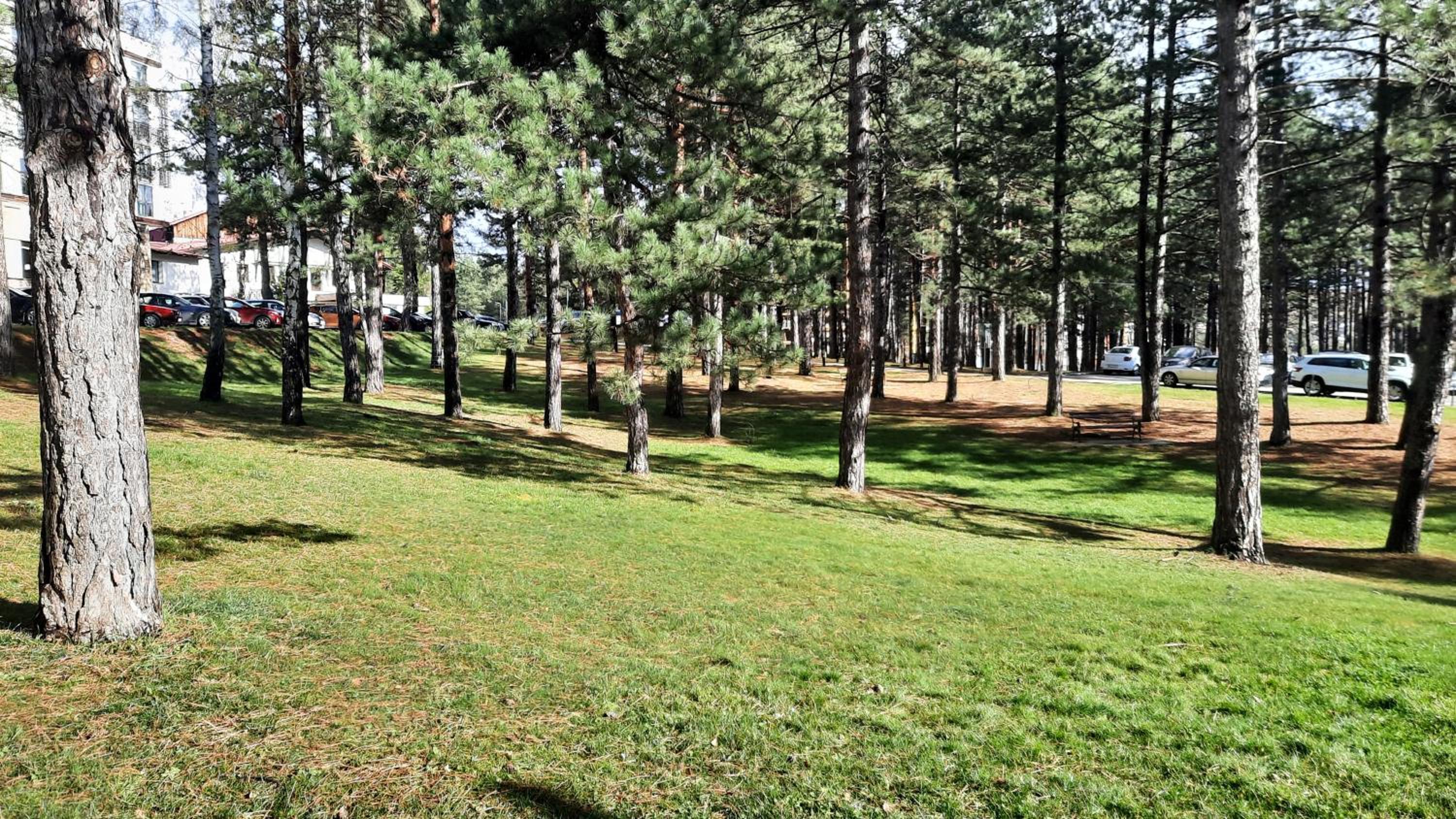 Pogled Apartmani - Zlatibor view 5