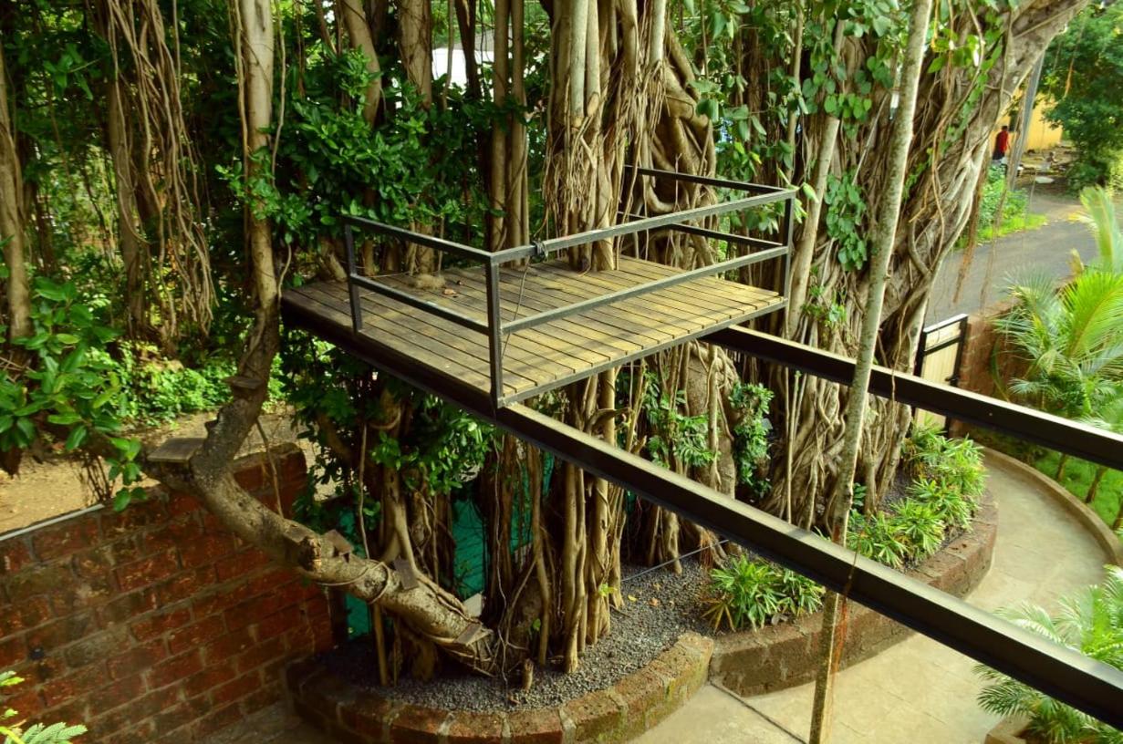 alibaug serenity villa view 2