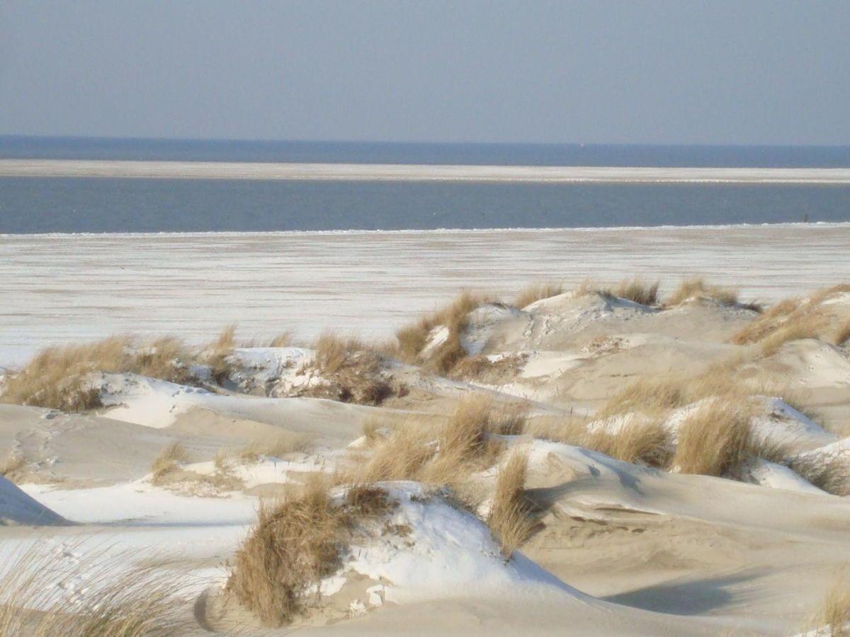 Ferienwohnung-Strandblume-Borkum