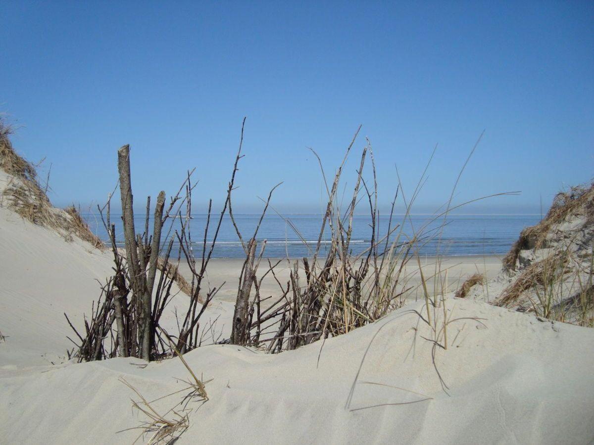 Ferienwohnung-Strandblume-Borkum