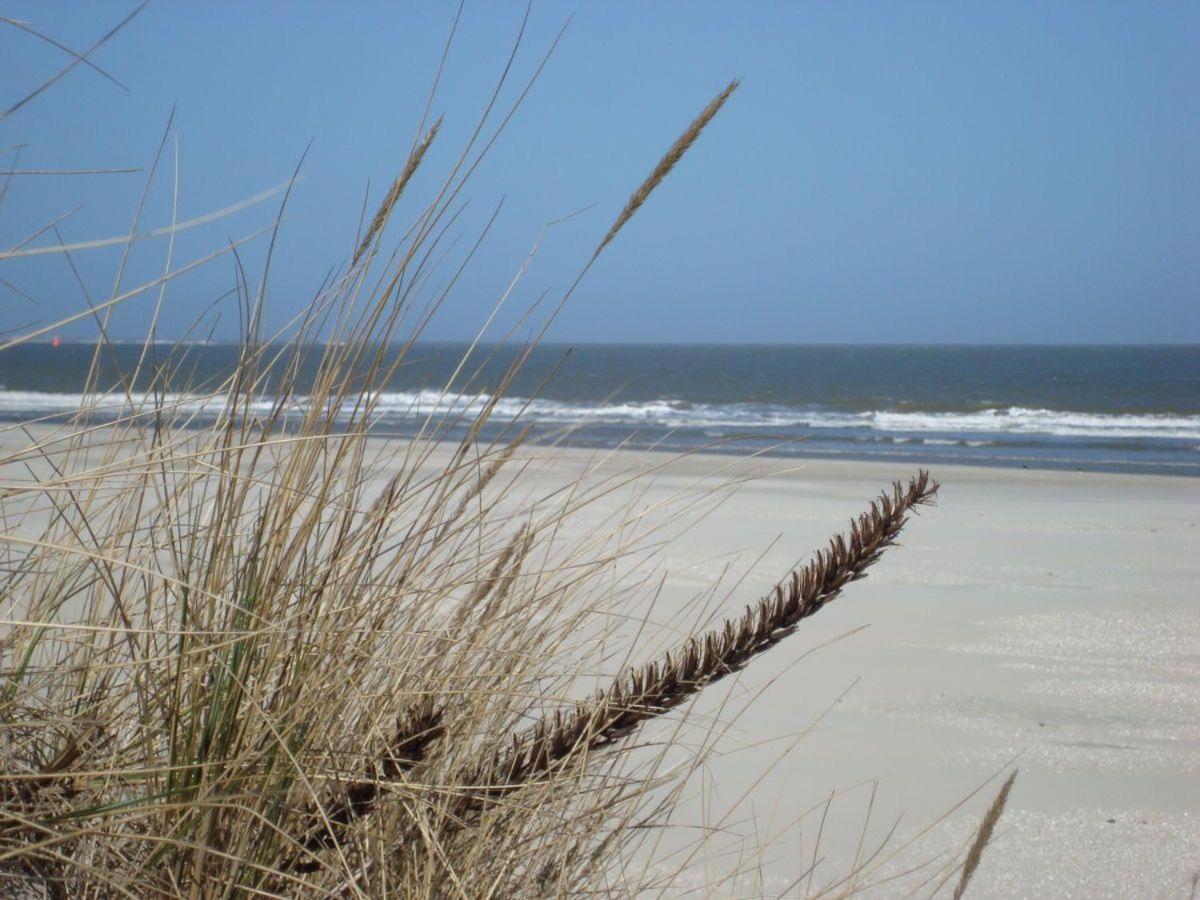 Ferienwohnung-Strandblume-Borkum