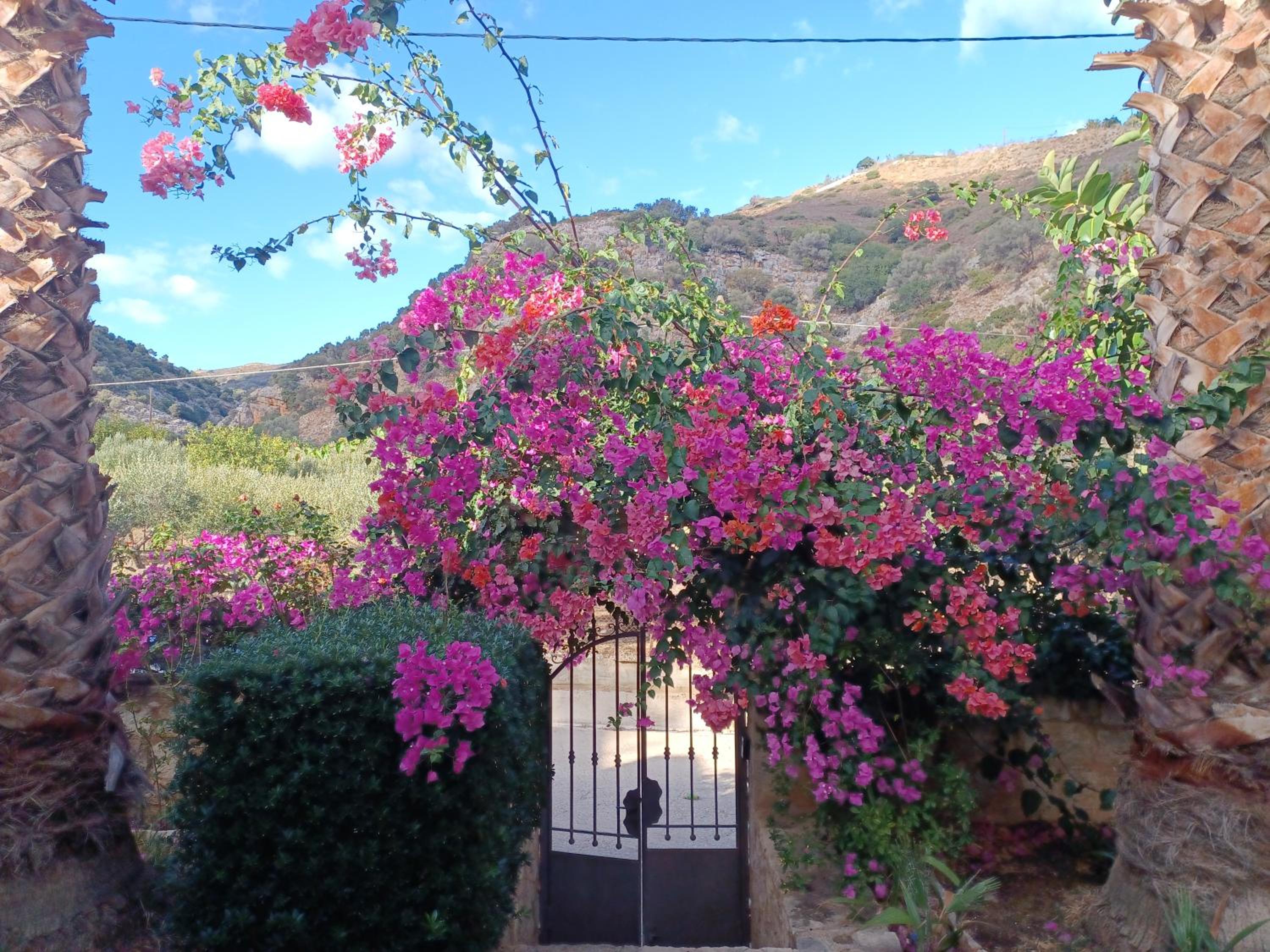 Heraklion Comfy House with Mountain View photo 3