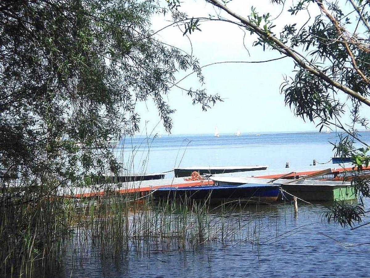 Mueritz-Ferienhaus-Wiesenblick-|-Garten-Sauna-Kamin-und-Boot-|-200-Meter-zur-Mueritz