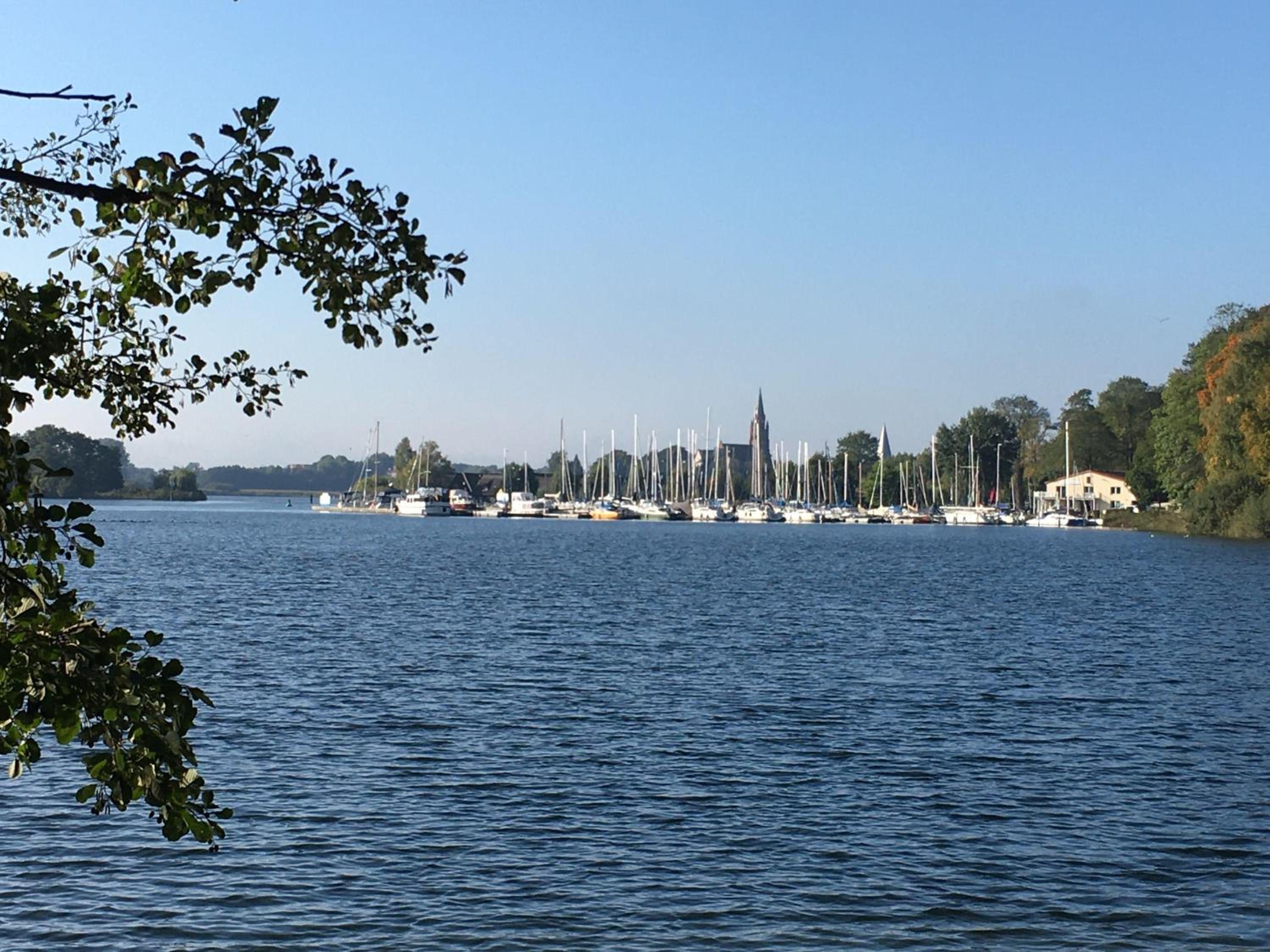Mueritz-Ferienhaus-Wiesenblick-|-Garten-Sauna-Kamin-und-Boot-|-200-Meter-zur-Mueritz