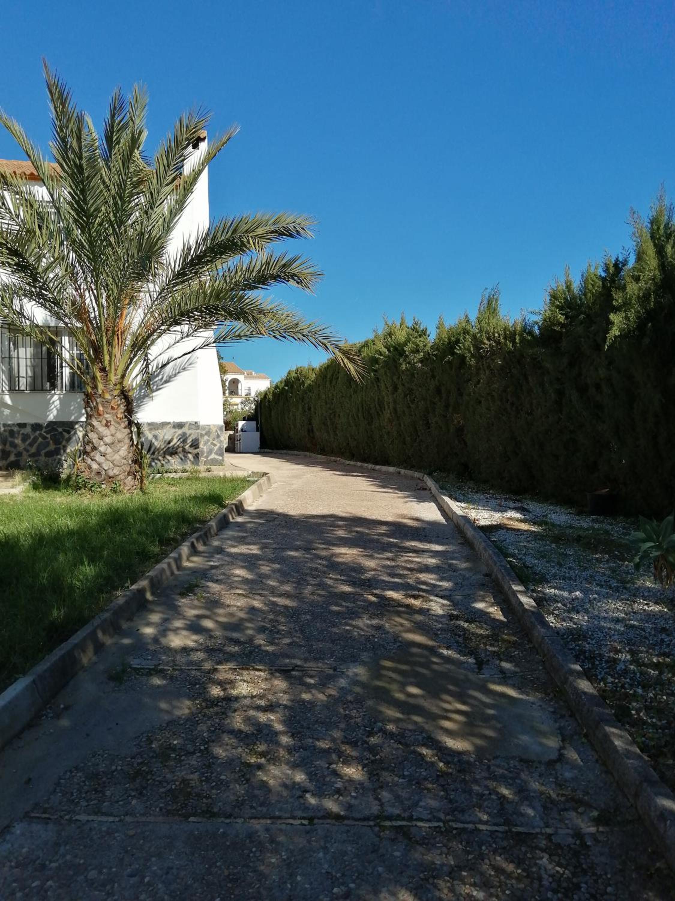 La Colina Sierra Norte de Sevilla photo 3