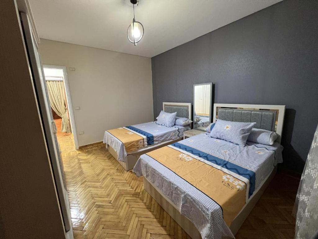 Luxurious apartment in the heart of Cairo, Dokki