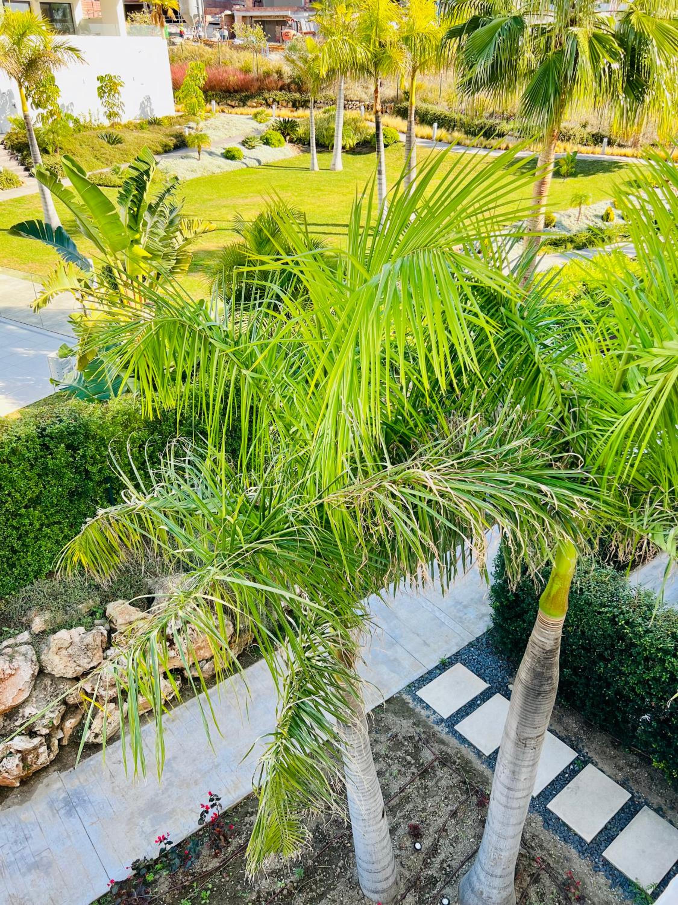 Penthouse moderne et cosy pour vos vacances accessible à pied depuis la plage