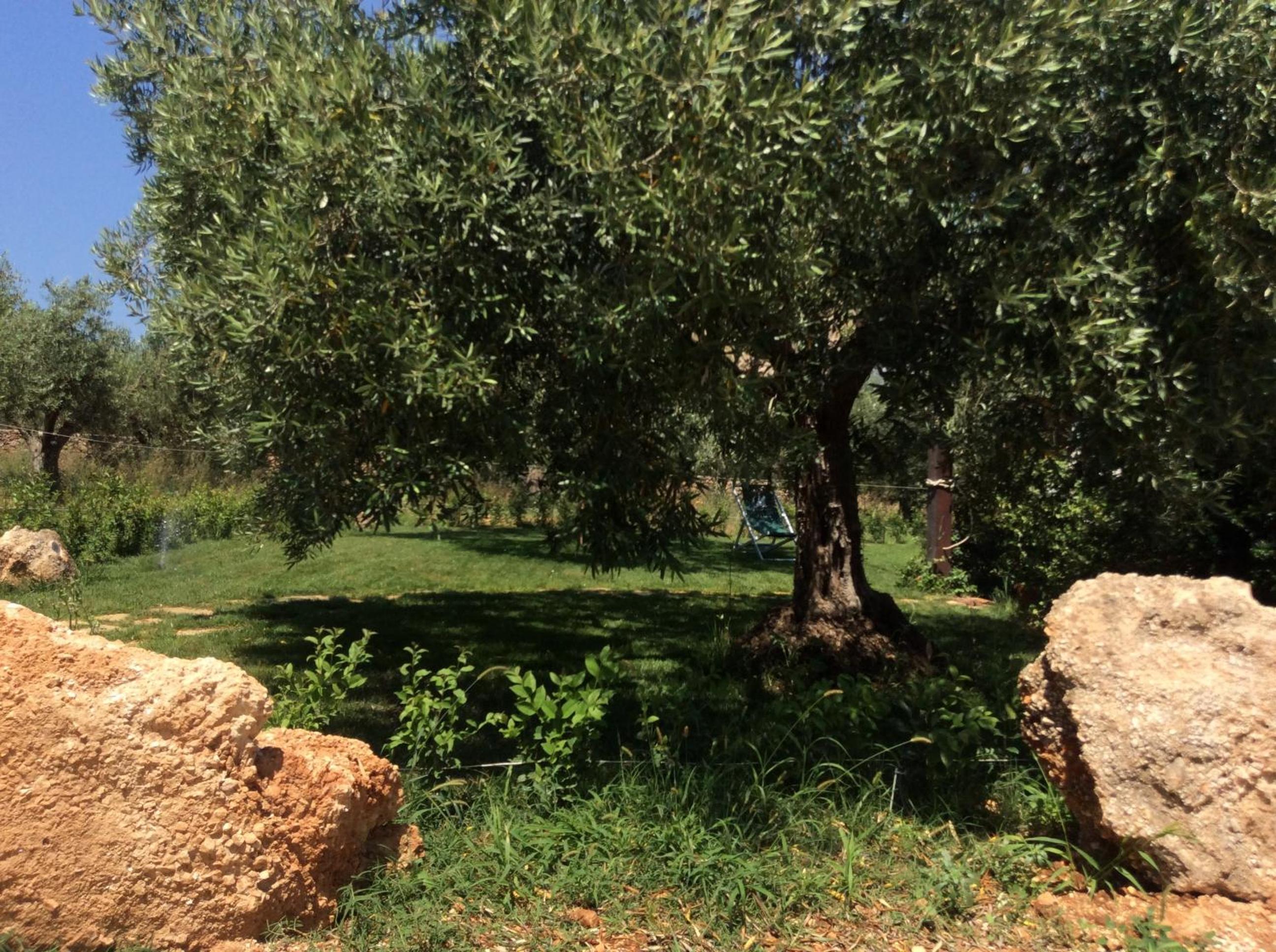 Photo 47