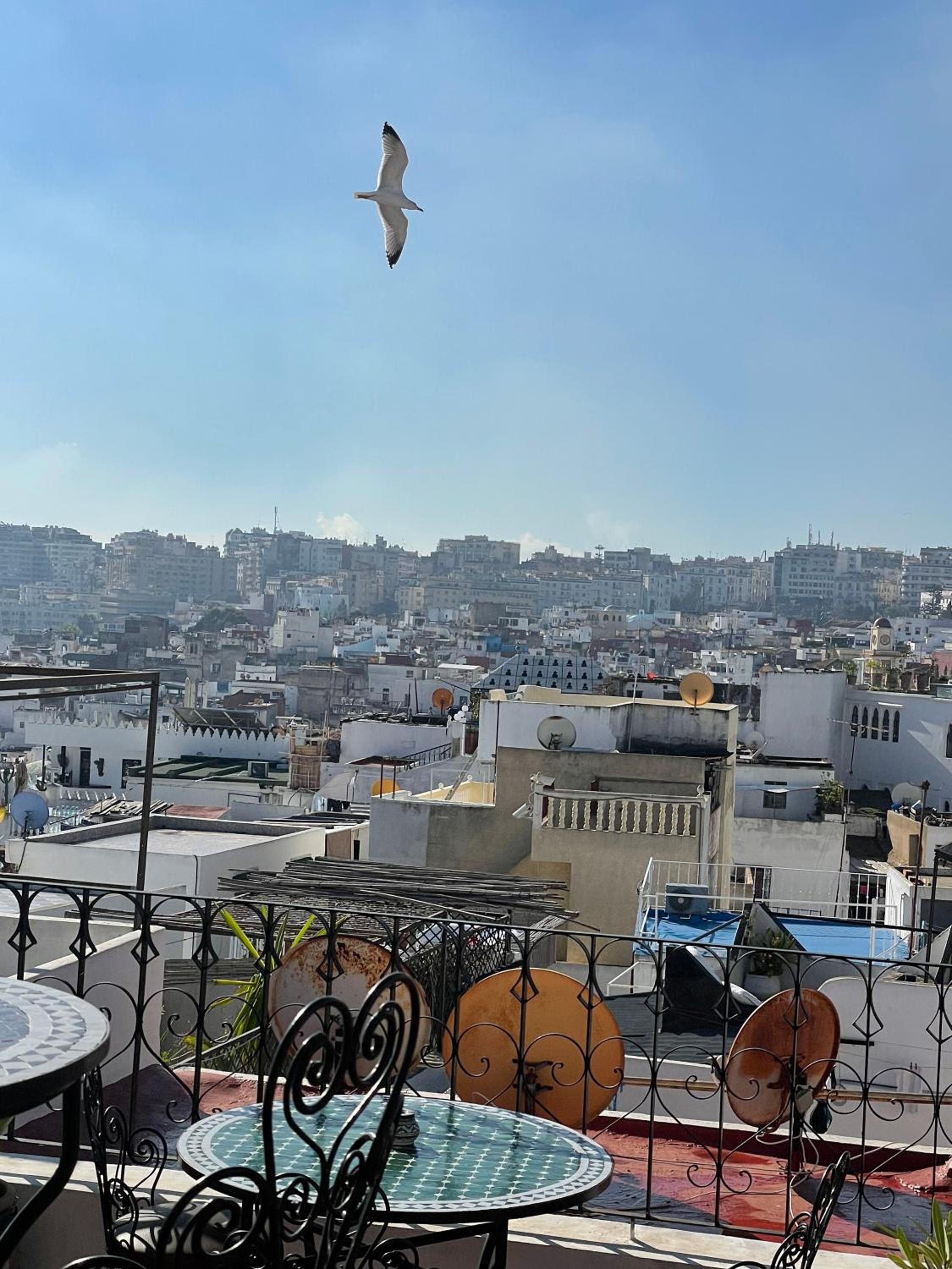 roof
