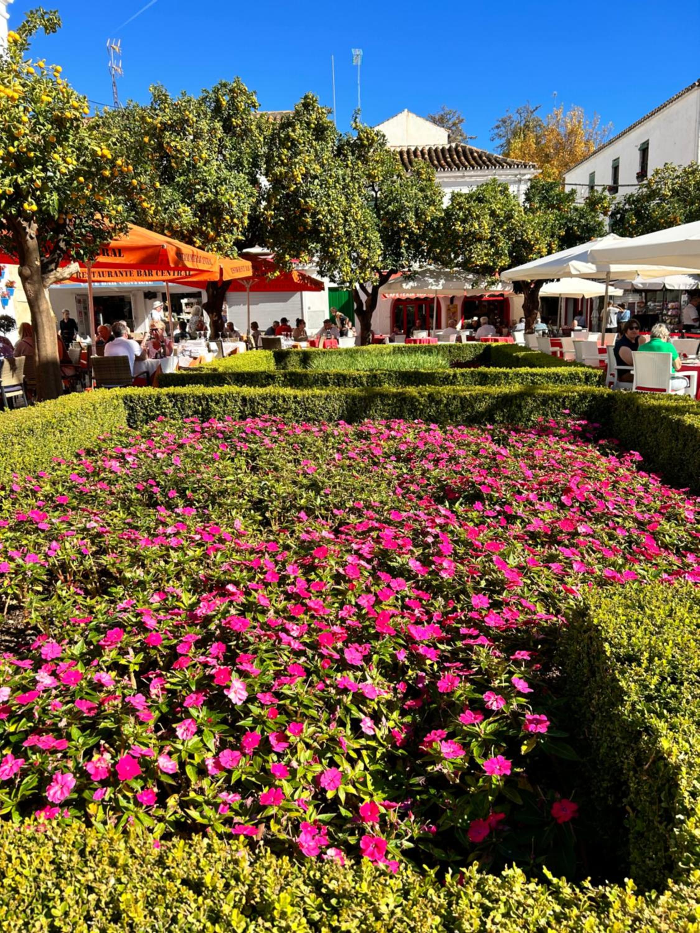 Mare Apartments Marbella