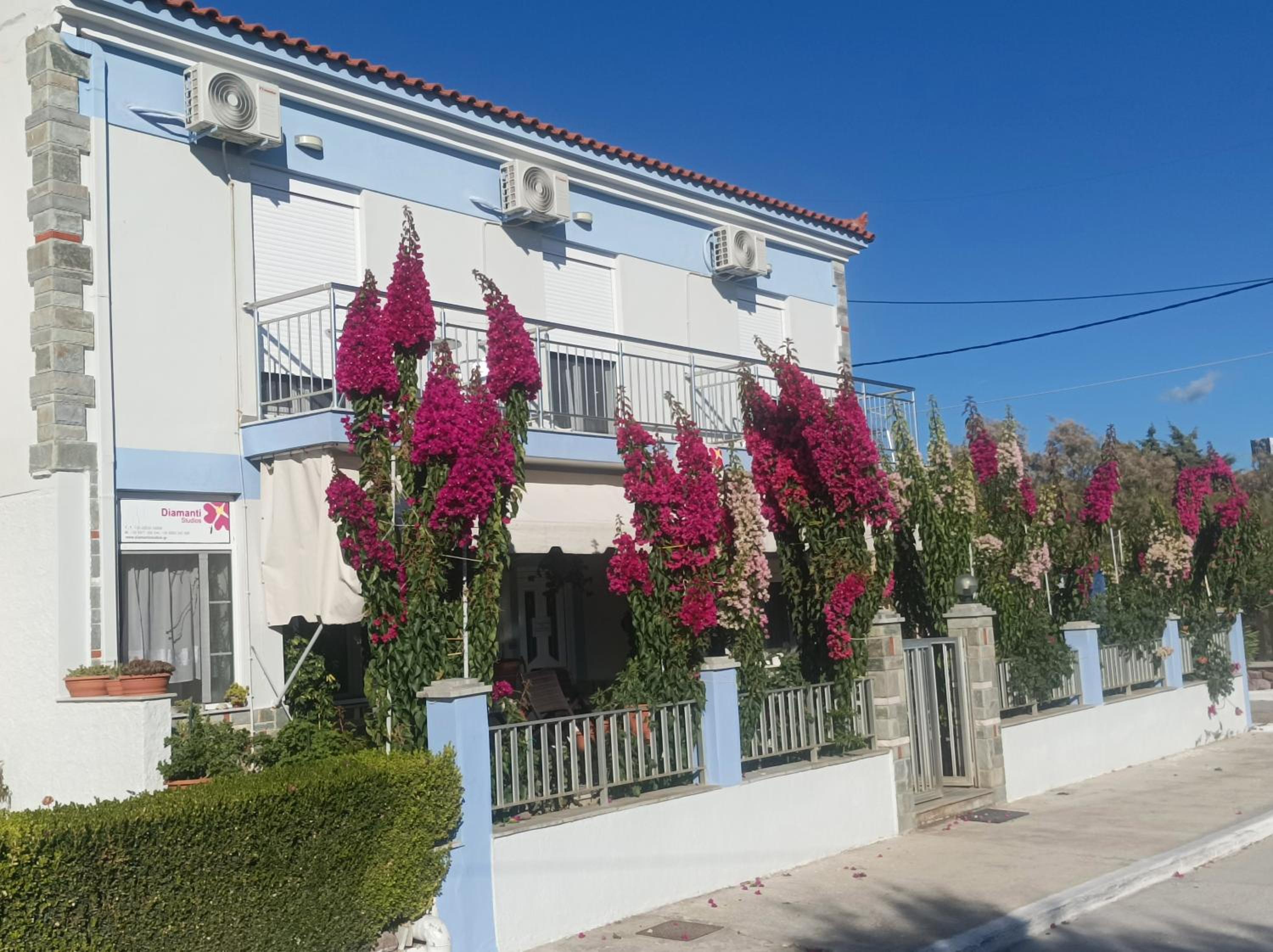 Hotel Diamanti Studios - Image 1