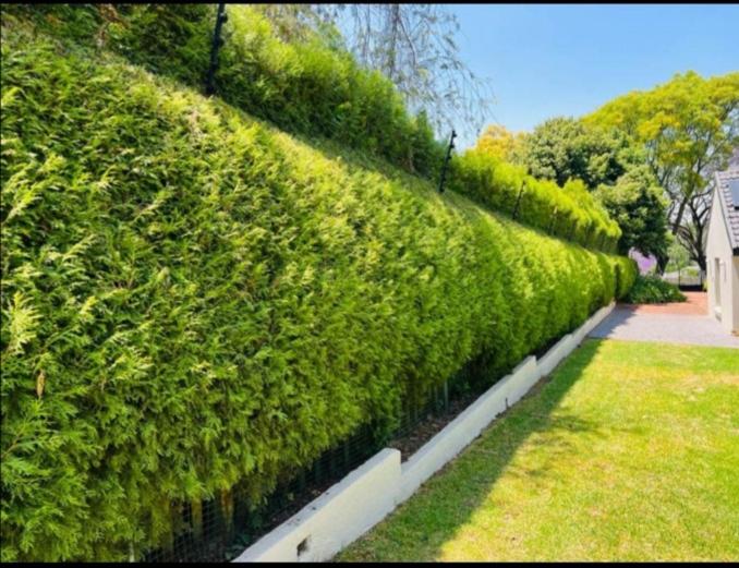 Garden Cottage - Bryanston